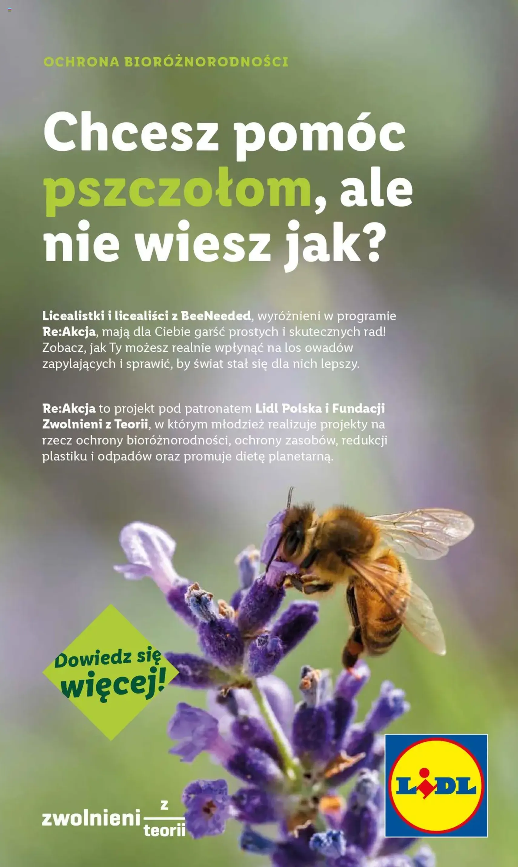 Lidl Gazetka - ważny gazetka od 17.07.2025 strona 61 z 62 Lidl Gazetka - ważny gazetka od 17.07.2025 strona 61 z 62
