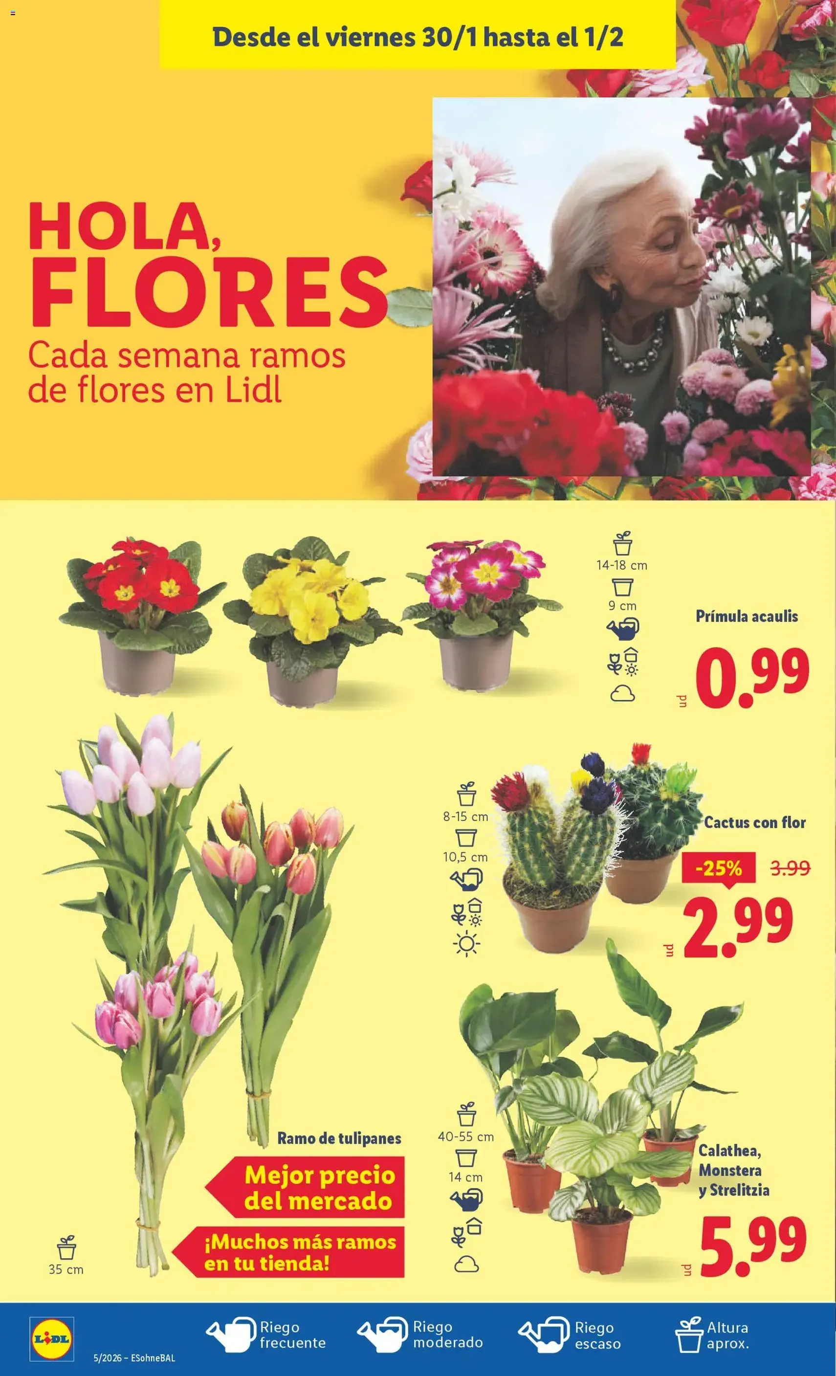 Lidl folleto - folleto válido desde 26/01/2026 página 40 de 41