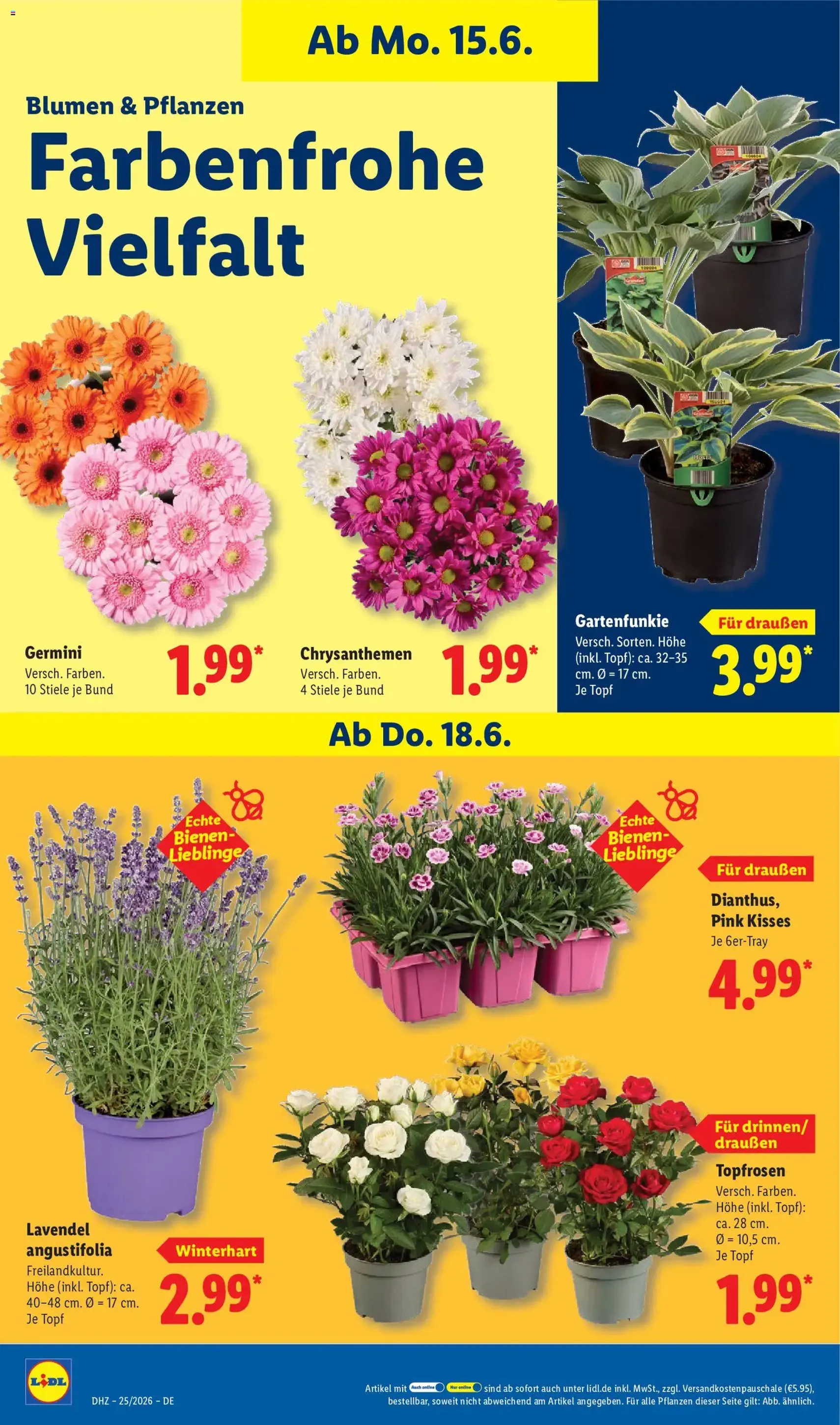 Lidl Prospekt - Gültiger Prospekt ab 15.06.2026, Seite 70 von insgesamt 70