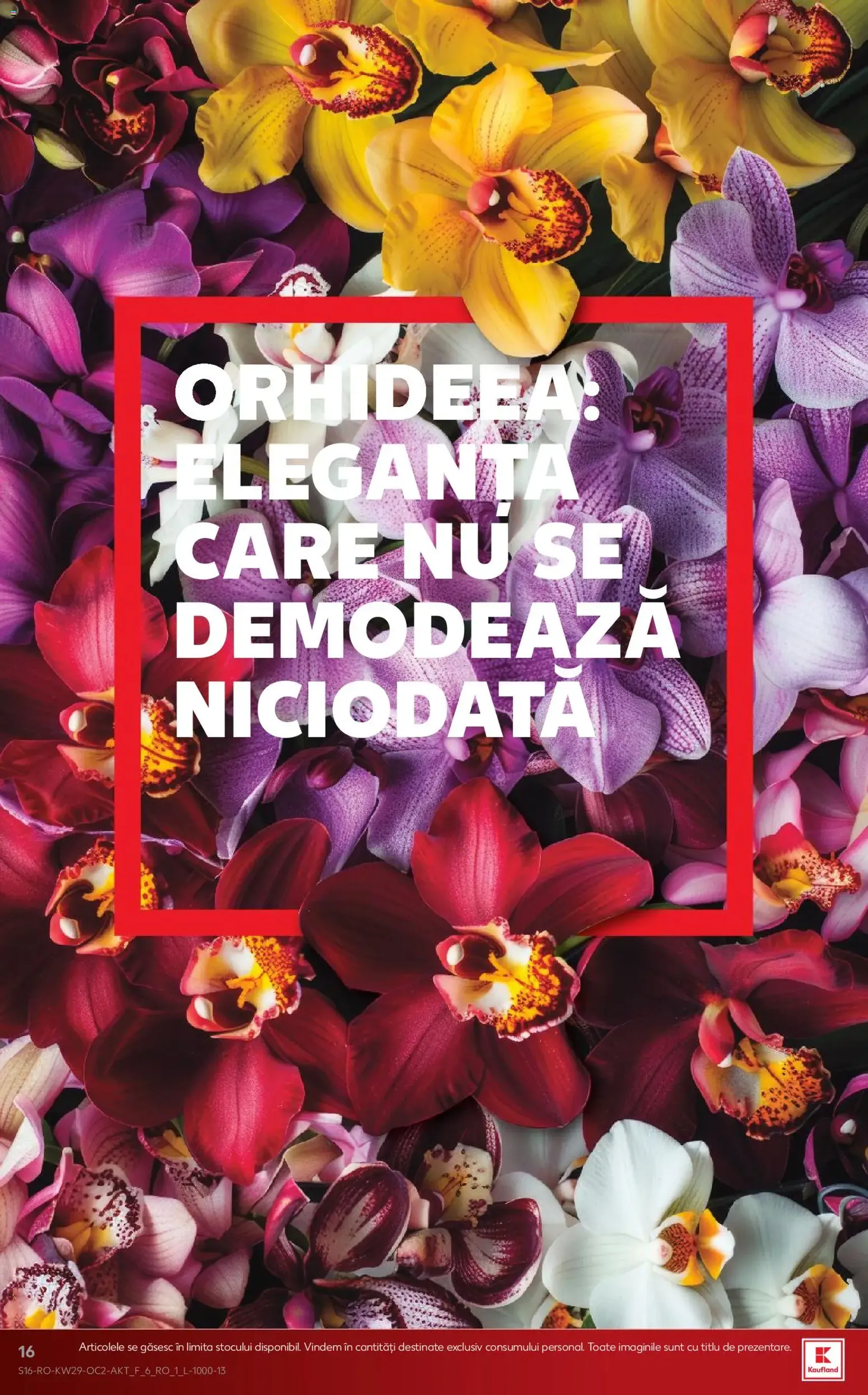 Kaufland Catalog - cataloage valabile începând cu 15.07.2026 pagina 16 din 70
