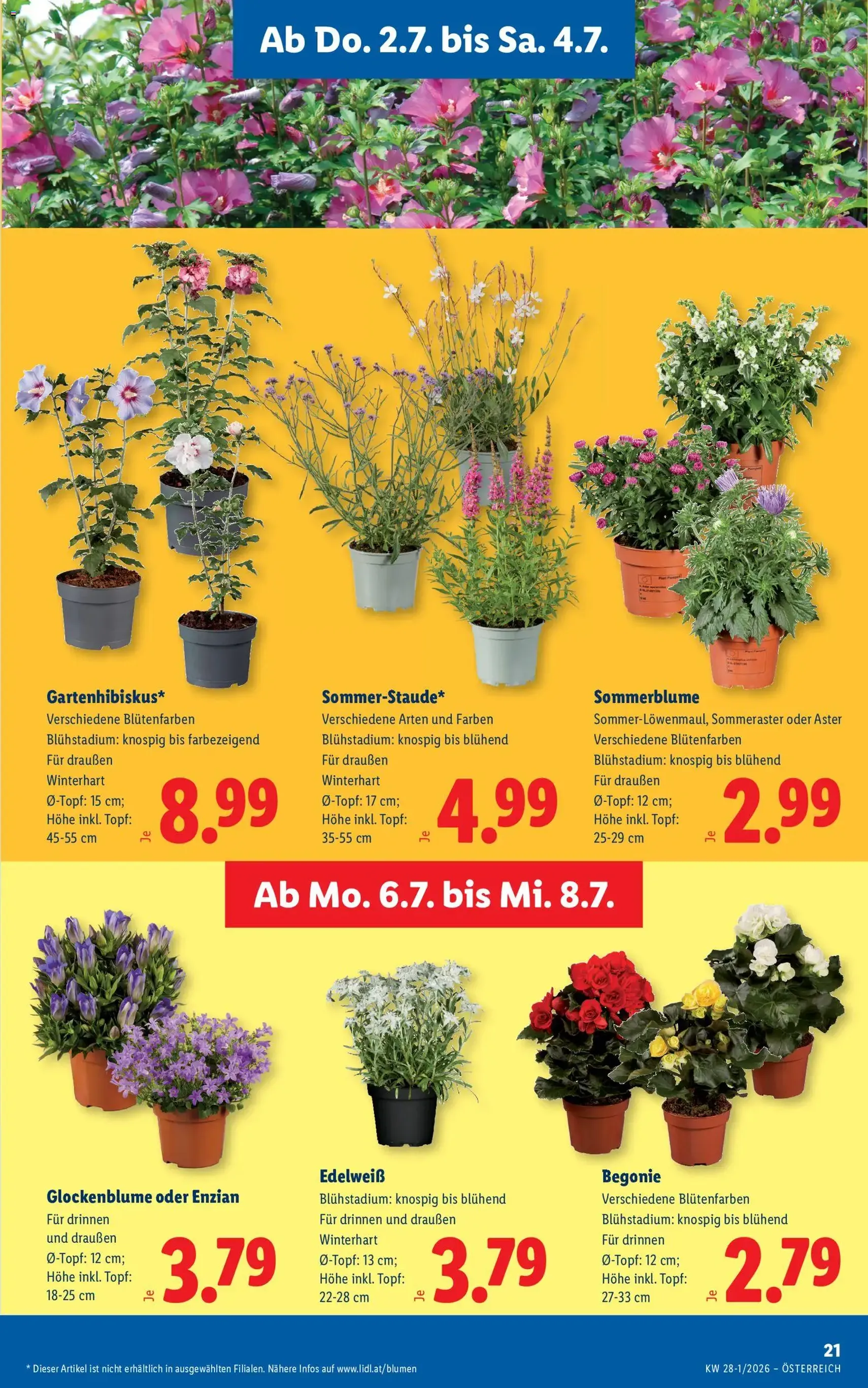 Lidl - Flugblatt - Gültiger Prospekt ab 02.07.2026, Seite 25 von insgesamt 53