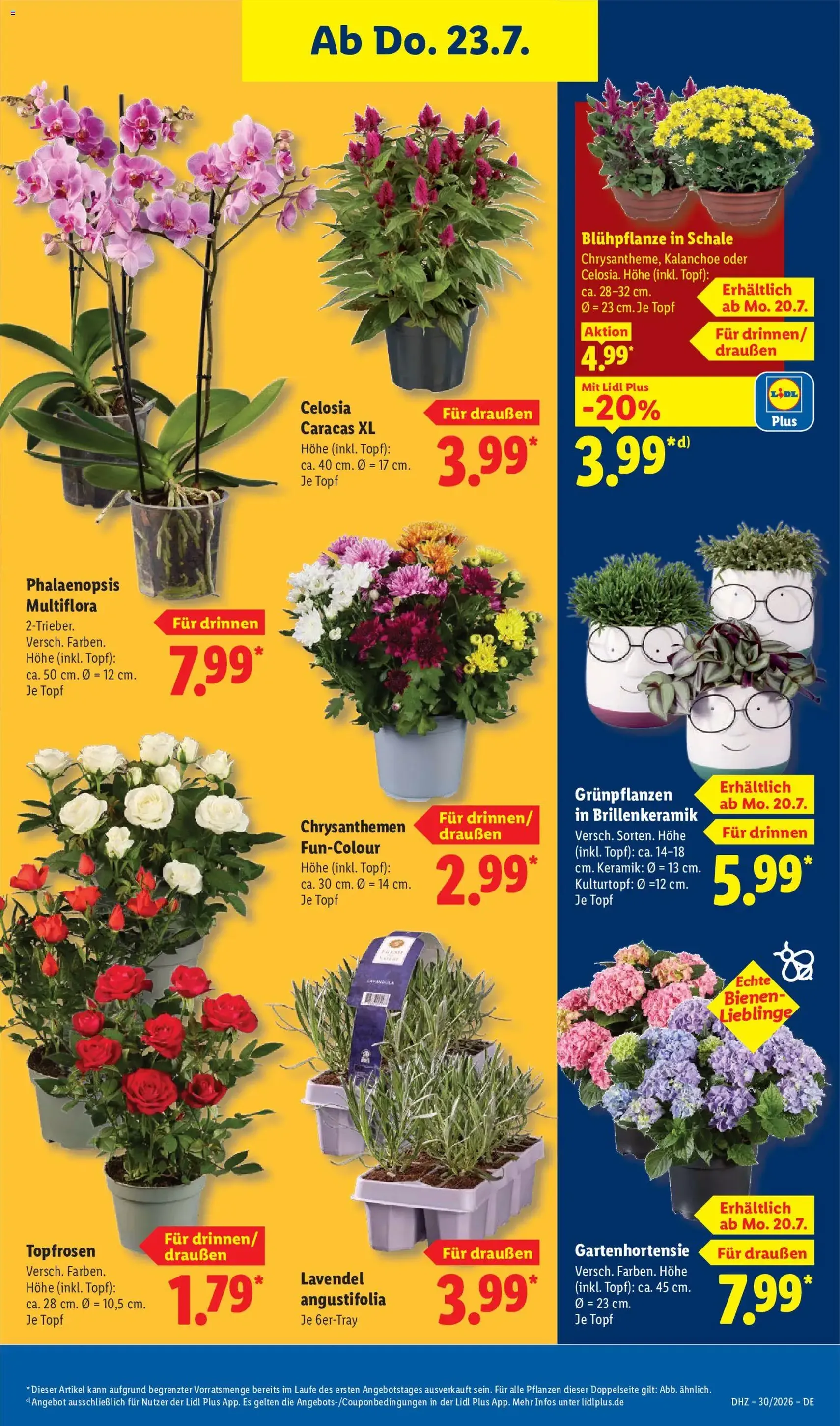 Lidl Prospekt - Gültiger Prospekt ab 20.07.2026, Seite 29 von insgesamt 69
