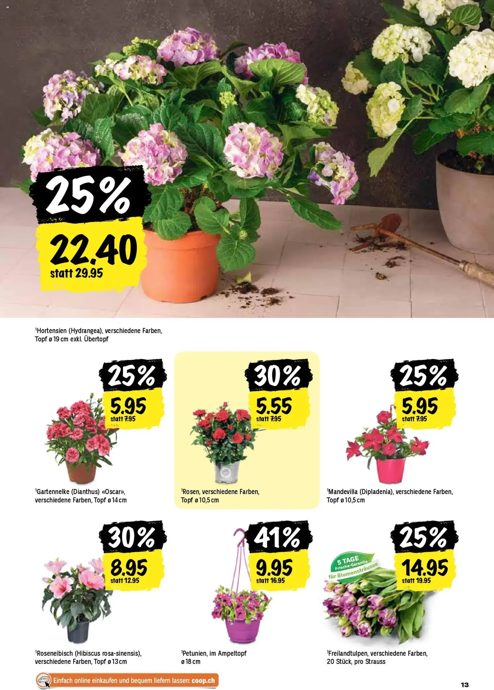 Coop aktionen - Gültiger Prospekt ab 16.04.2026, Seite 13 von insgesamt 24