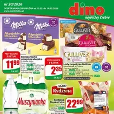 Dino gazetka - podgląd gazetki ważnej od 13.05.2026