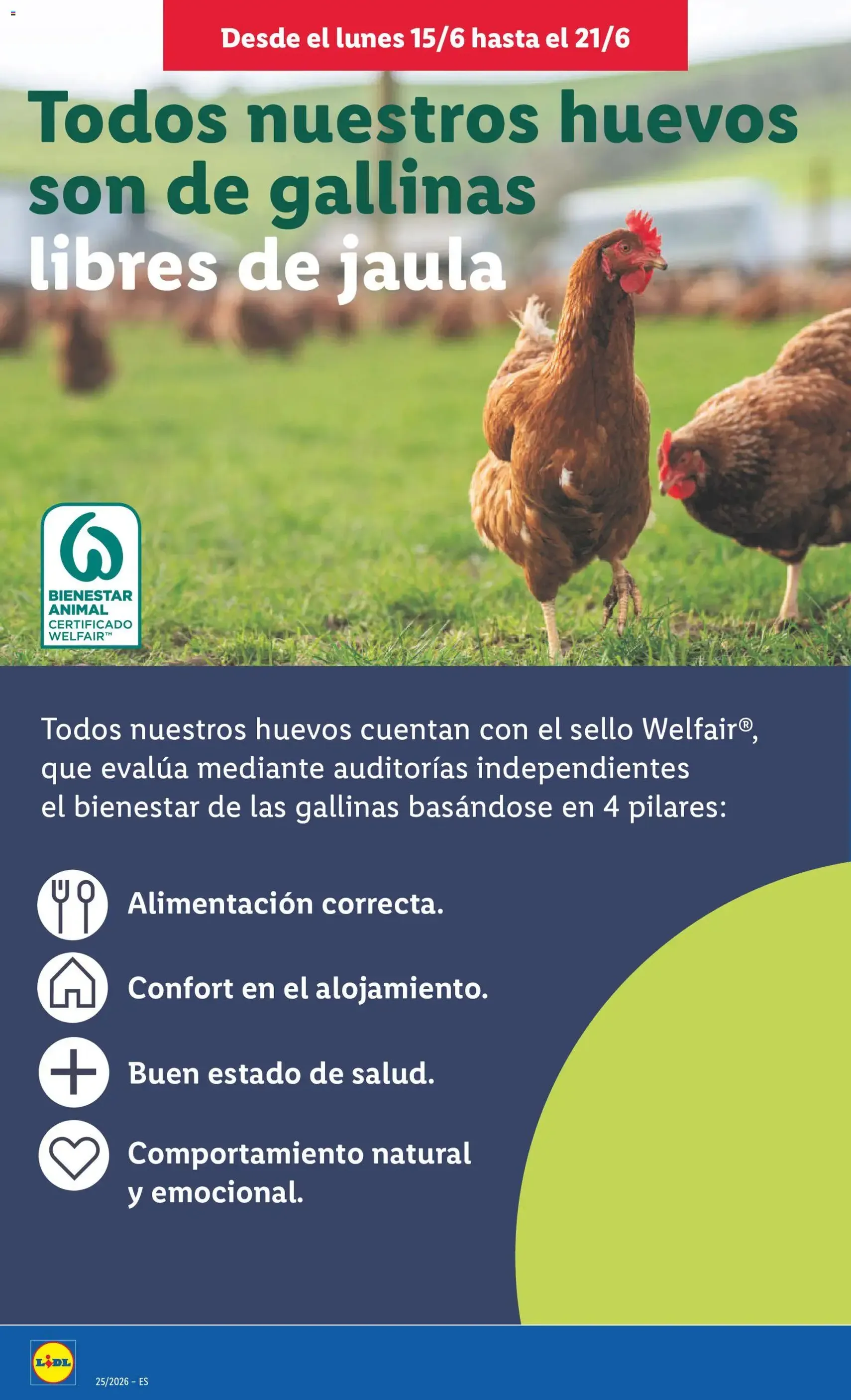 Lidl folleto - folleto válido desde 15/06/2026 página 18 de 65