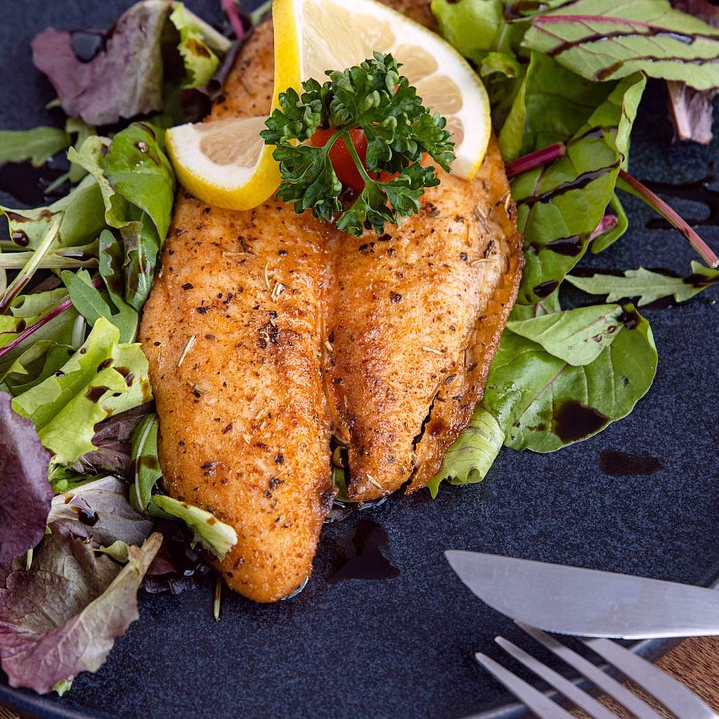 Pangasius vajon