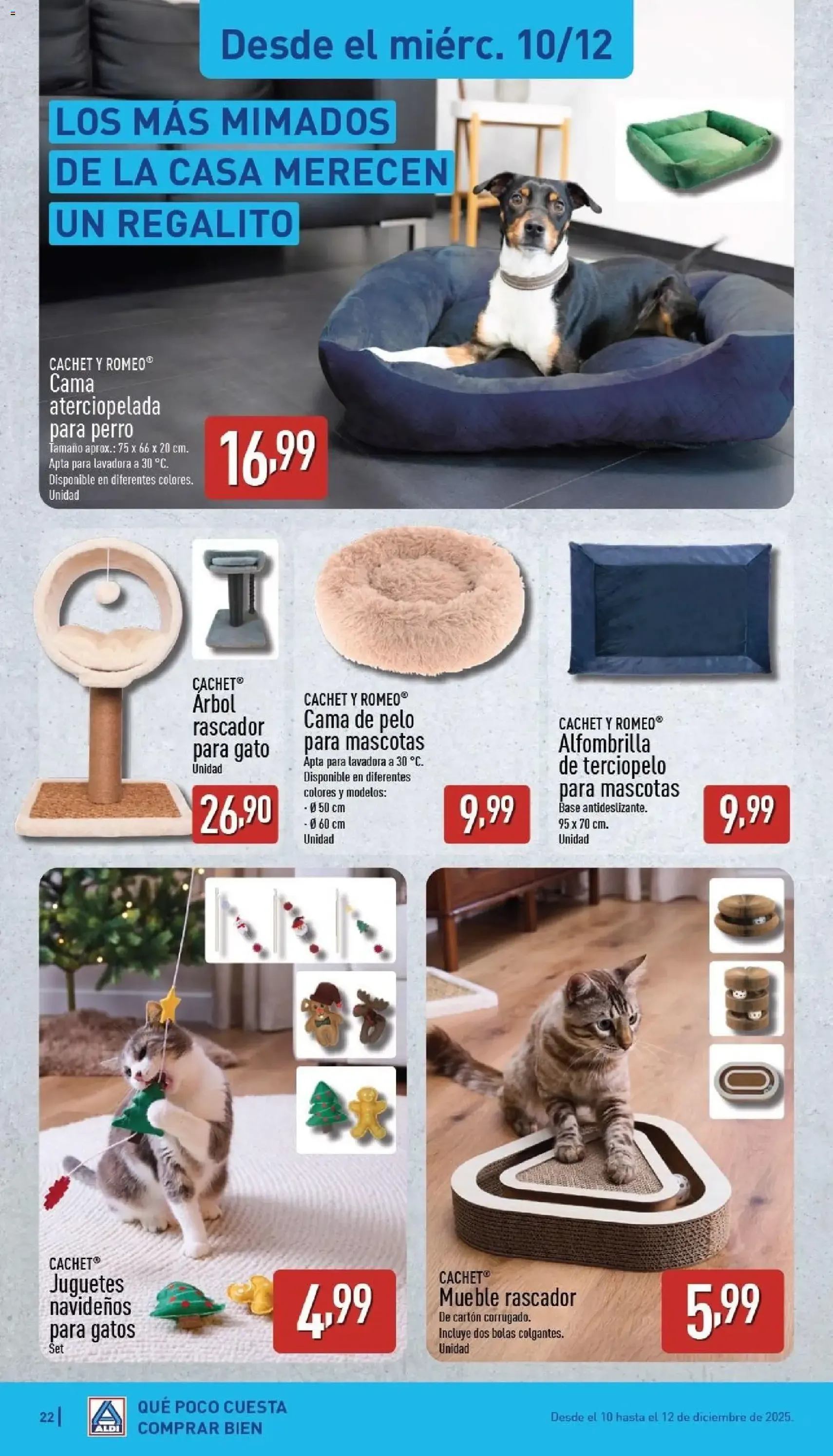 Aldi folleto Península - folleto válido desde 08/12/2025 página 22 de 36