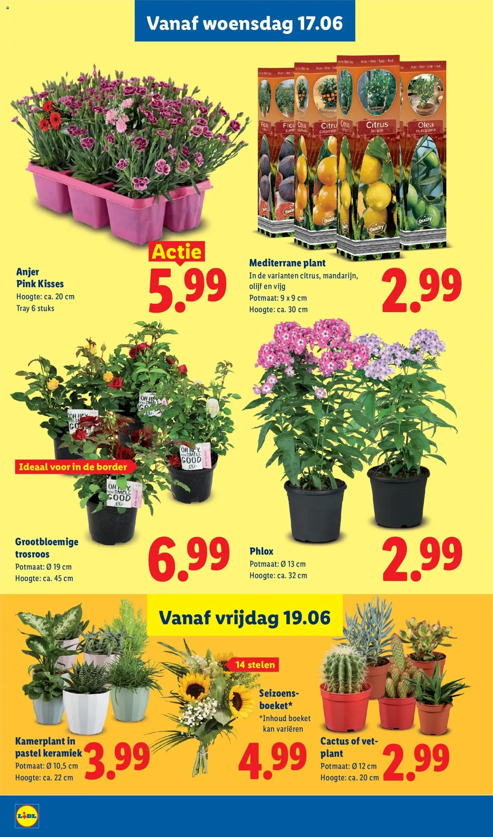 Lidl folder week 25 - geldige folder vanaf 15-06-2026 pagina 19 van 55