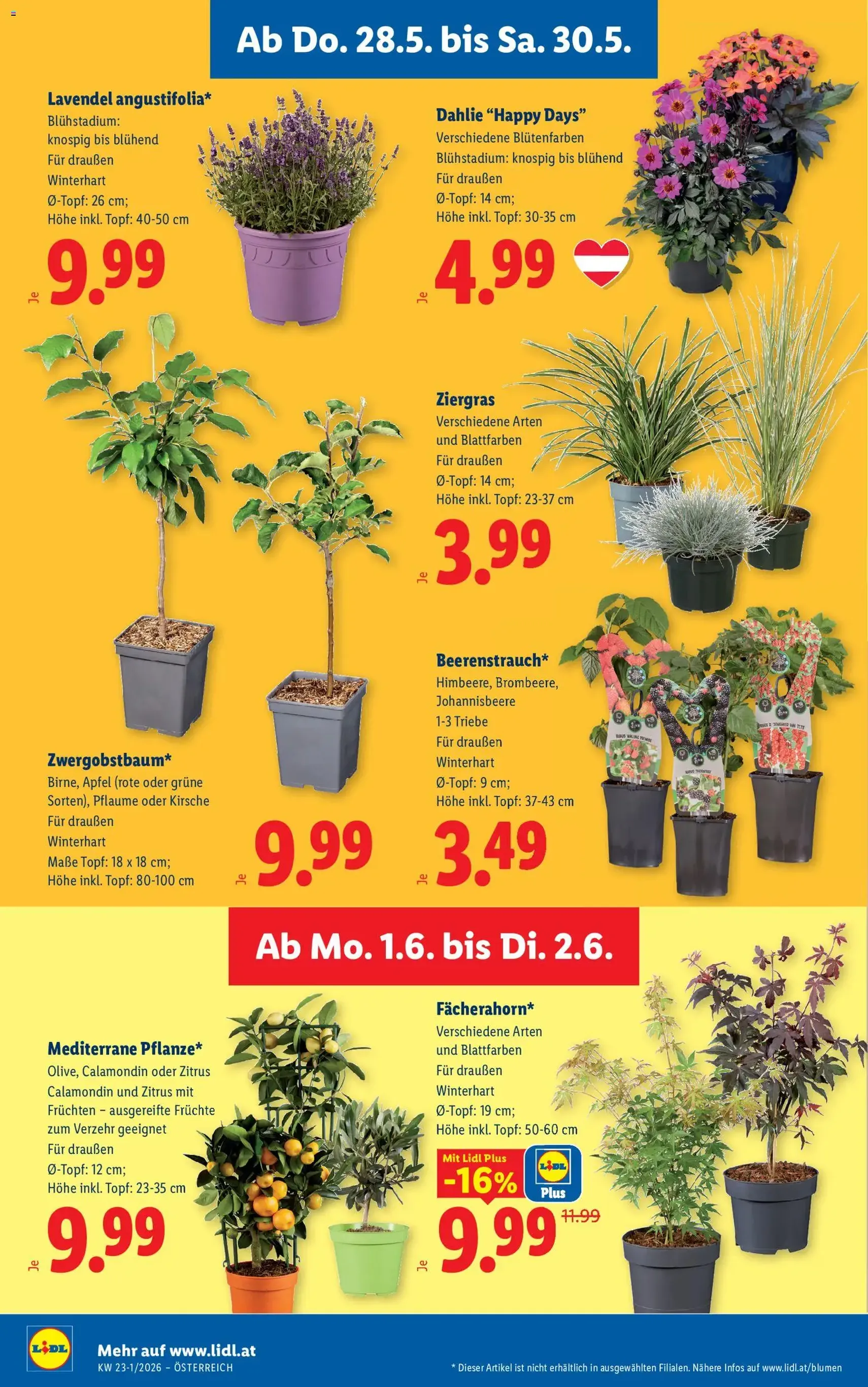 Lidl - Flugblatt - Gültiger Prospekt ab 28.05.2026, Seite 28 von insgesamt 53