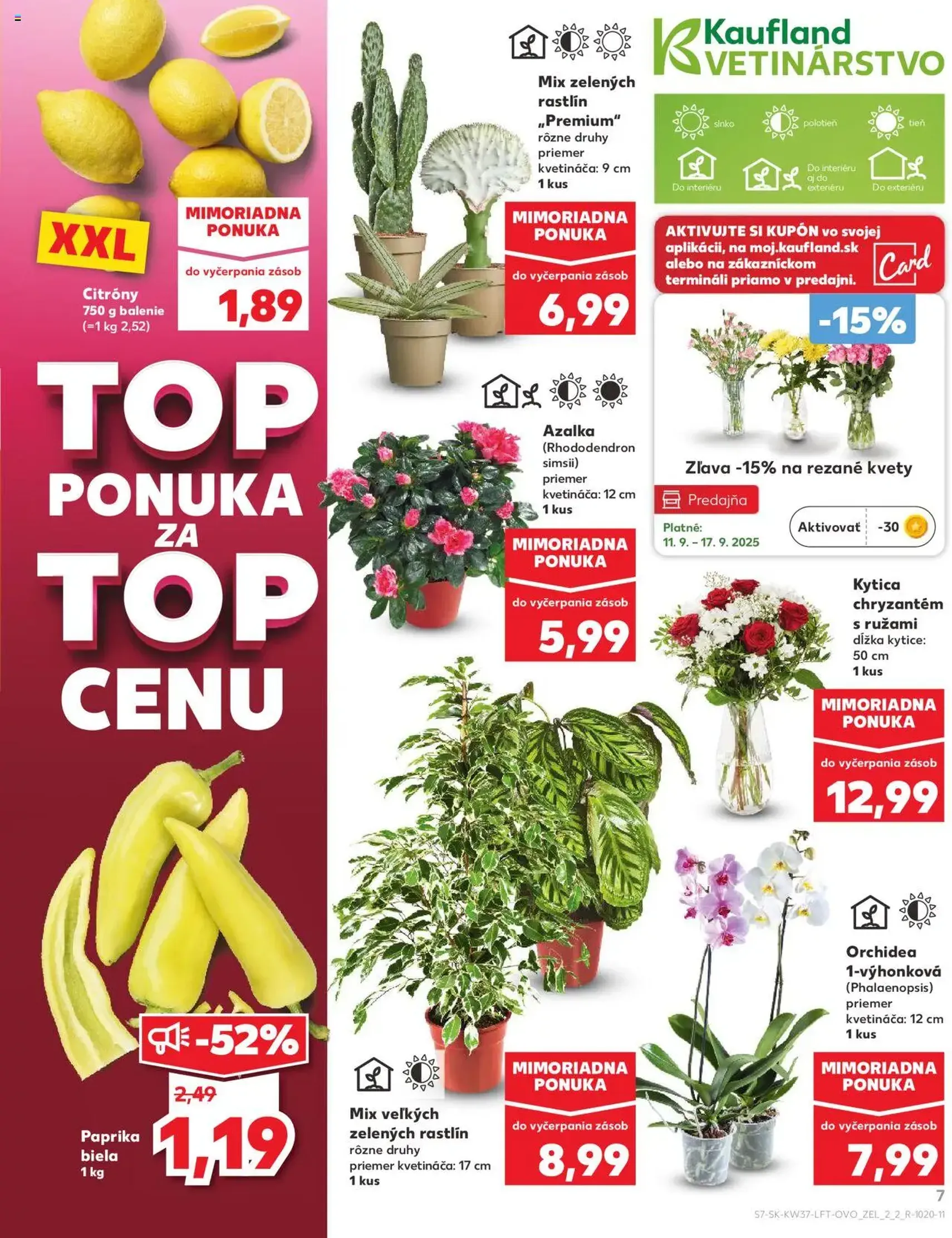 Kaufland Bratislava-Avion - platný leták od 11.09.2025 strana 7 z 78