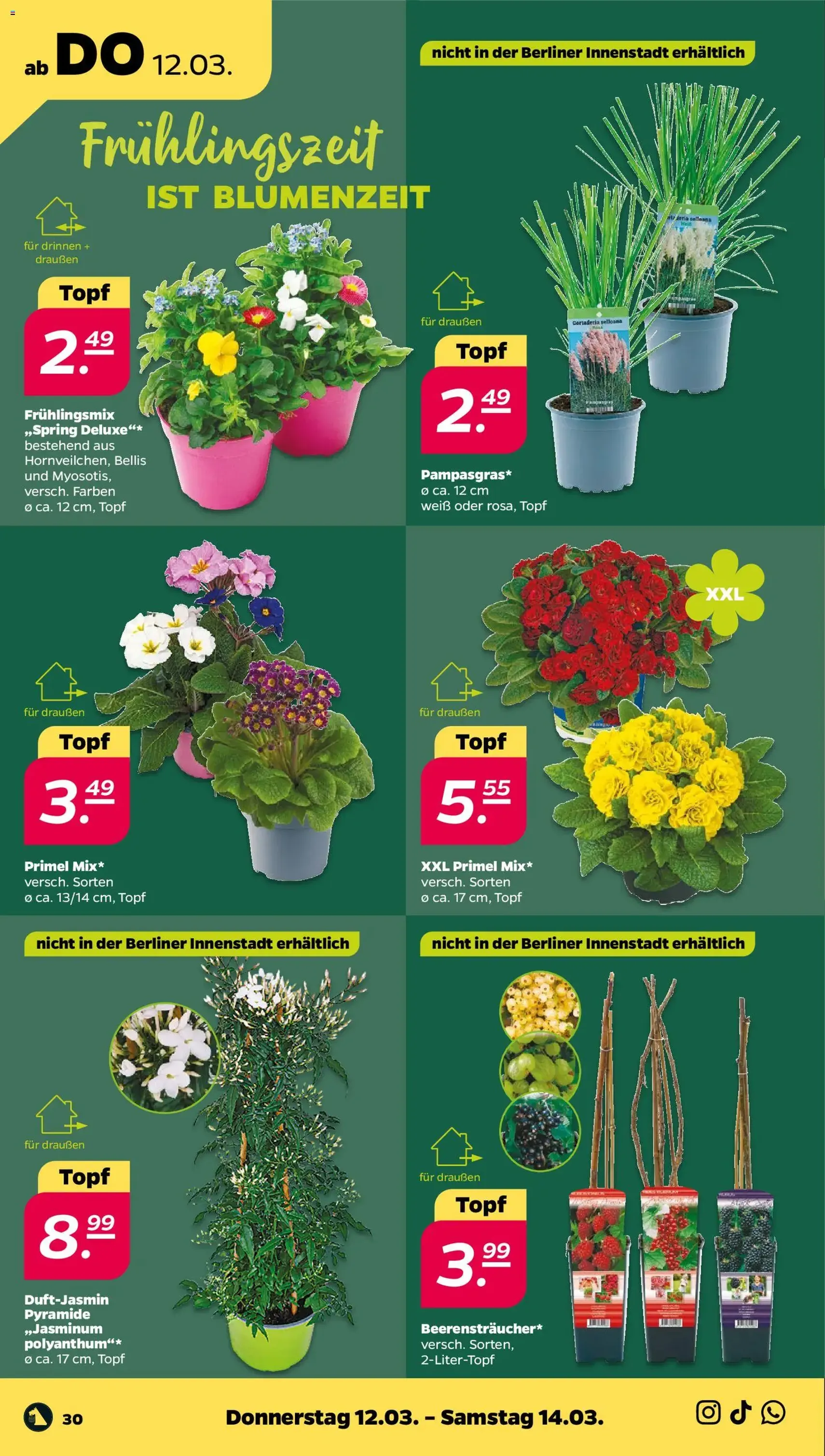 Netto Prospekt - Gültiger Prospekt ab 09.03.2026, Seite 36 von insgesamt 42