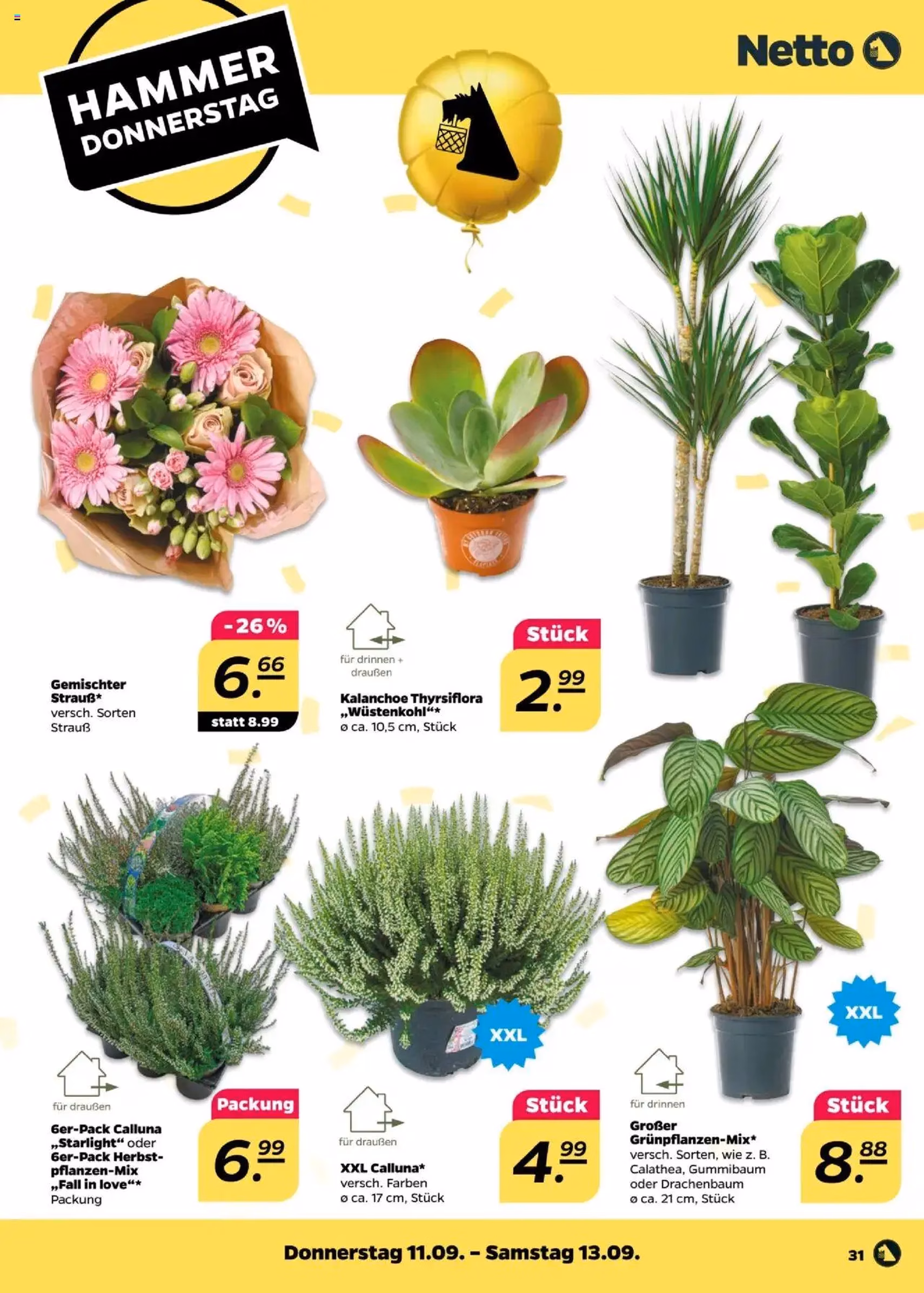 Netto Prospekt - Gültiger Prospekt ab 07.09.2025, Seite 31 von insgesamt 44