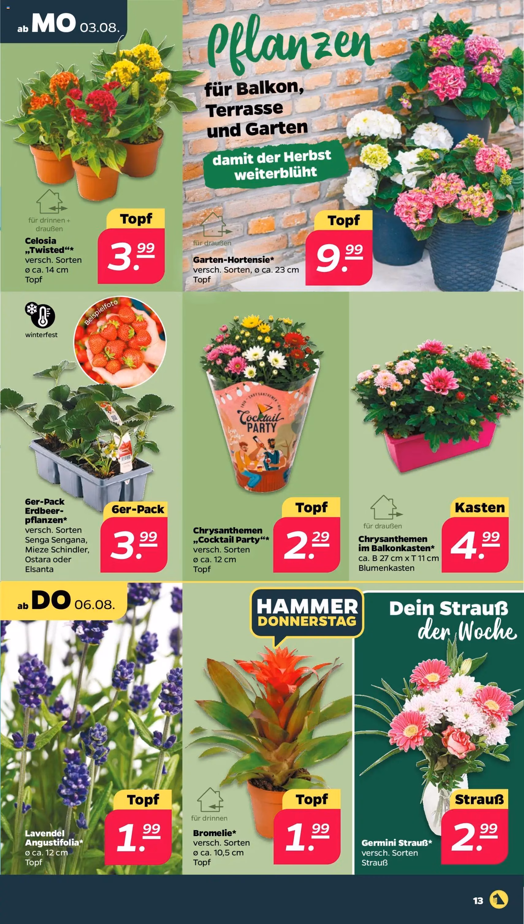 Netto Prospekt - Gültiger Prospekt ab 03.08.2026, Seite 15 von insgesamt 33