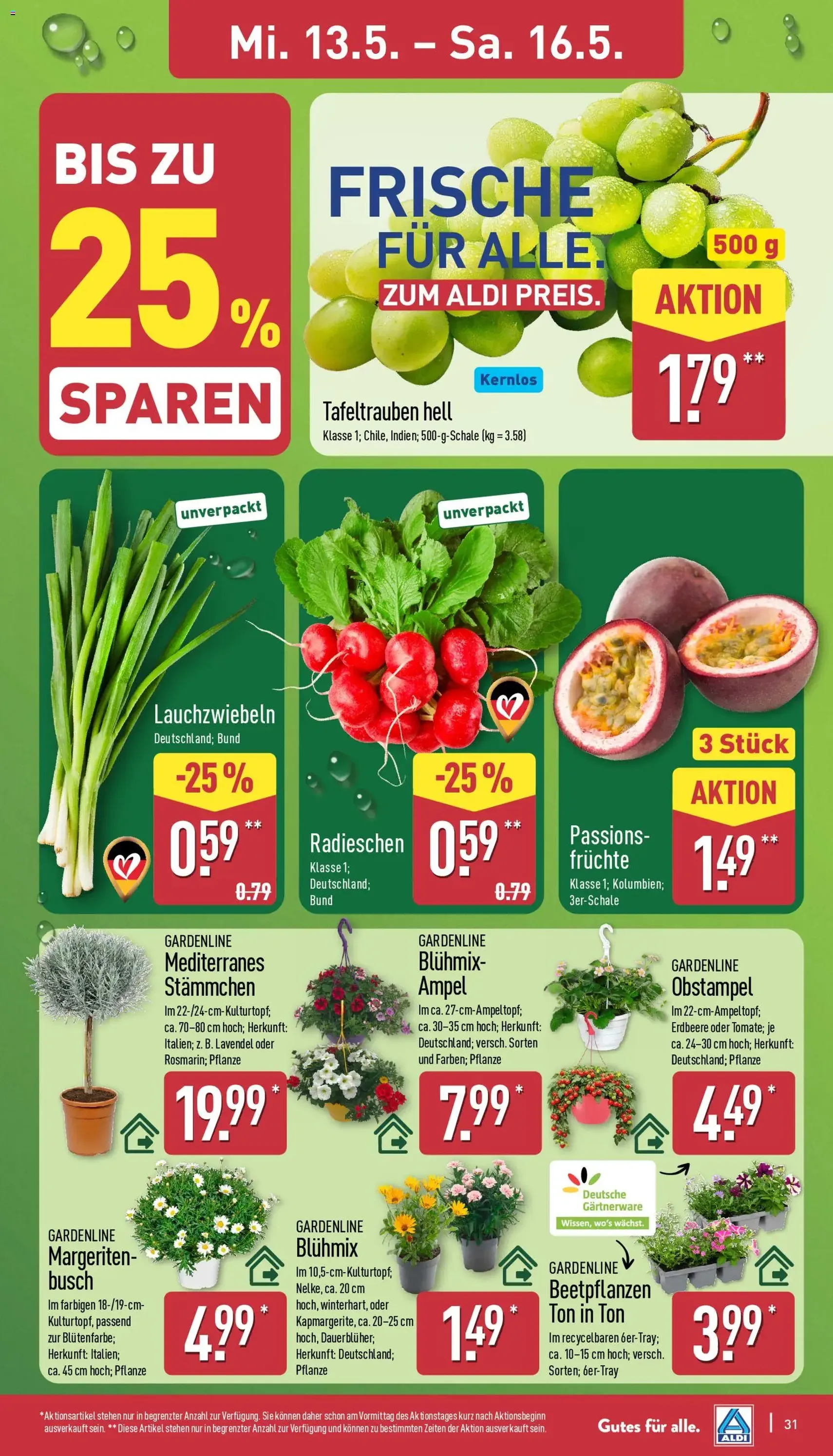 Aldi Prospekt - Gültiger Prospekt ab 11.05.2026, Seite 31 von insgesamt 43