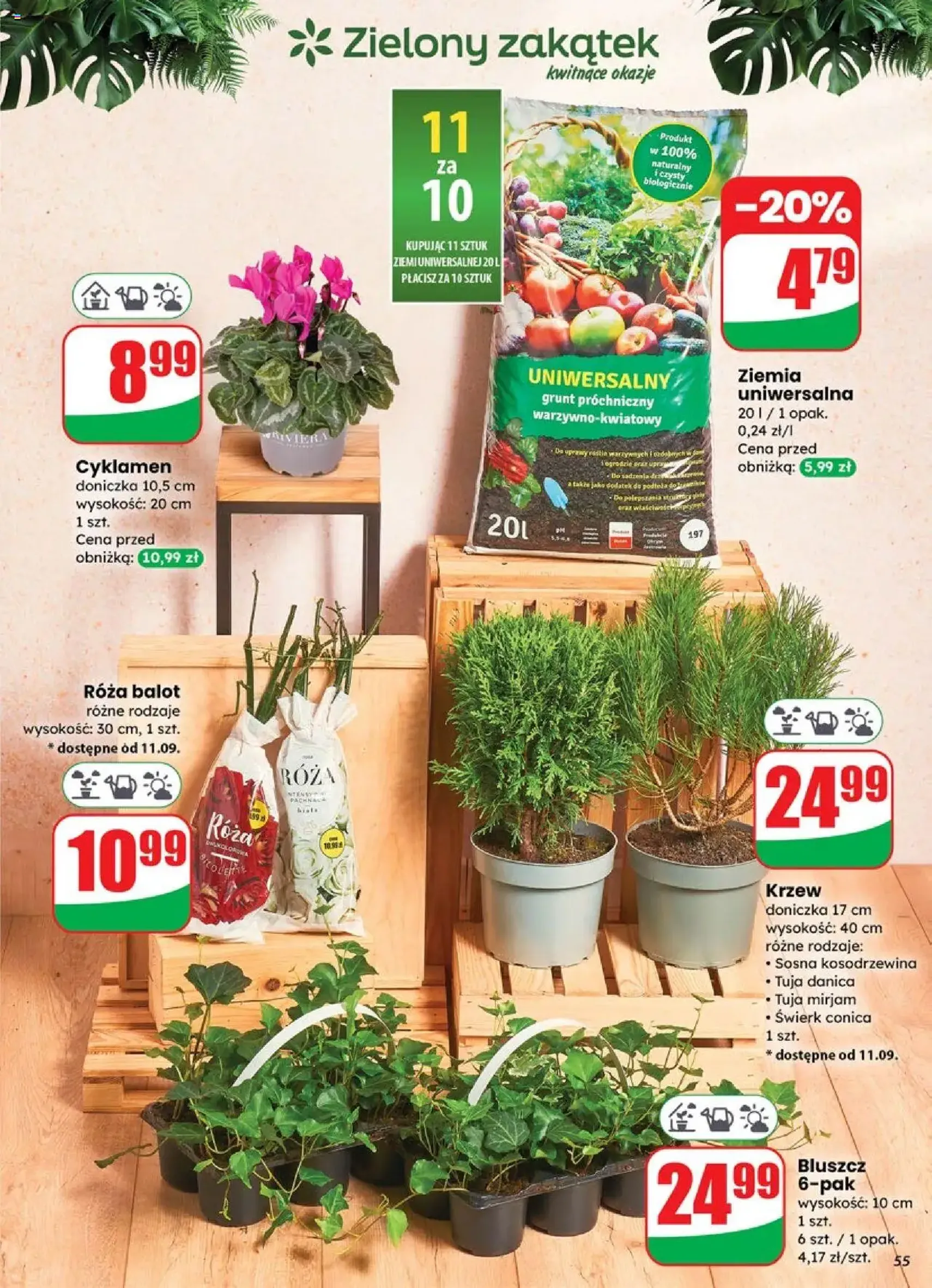 Dino Gazetka - ważny gazetka od 10.09.2025 strona 55 z 72 Dino Gazetka - ważny gazetka od 10.09.2025 strona 55 z 72
