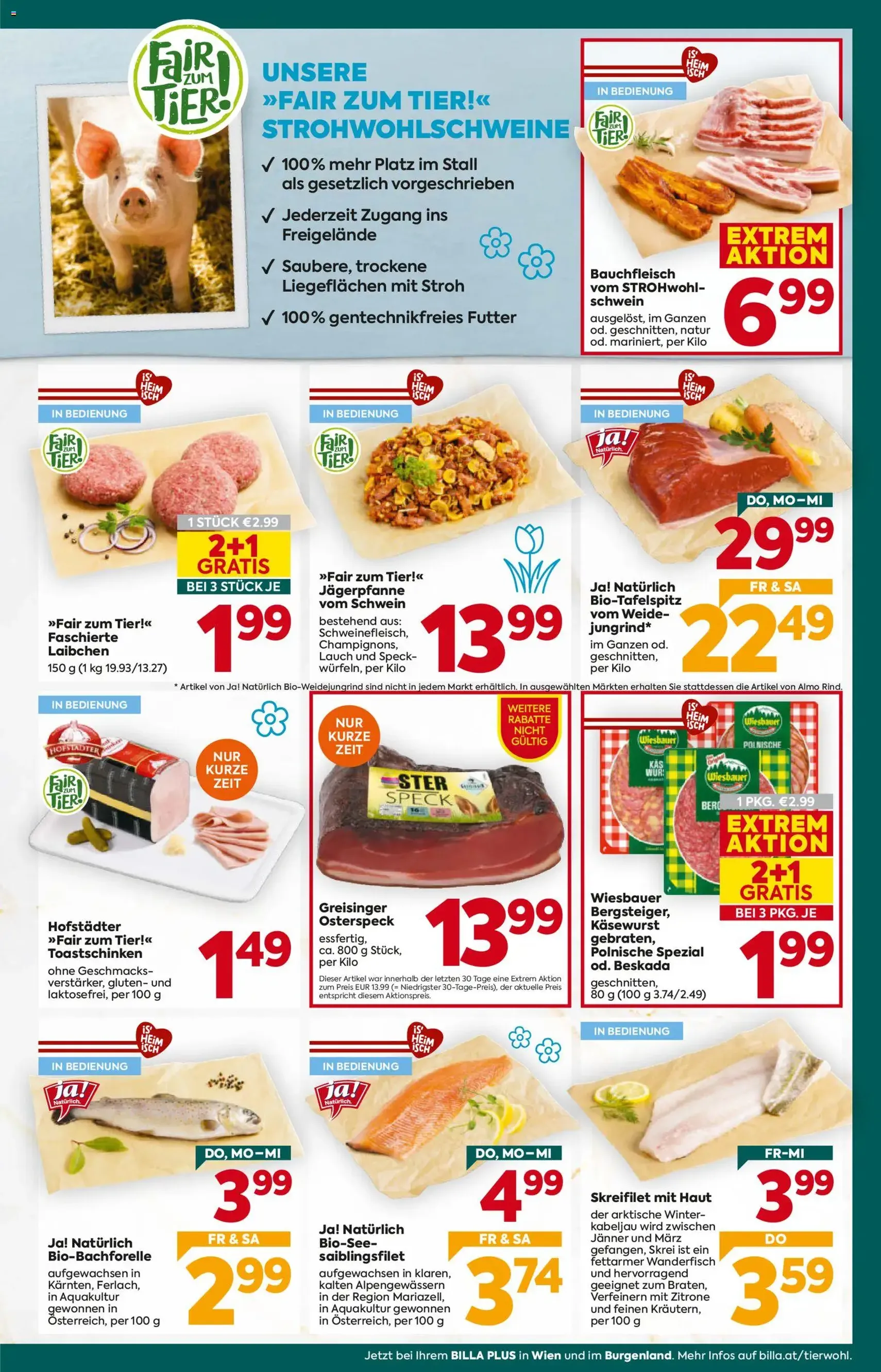 Billa Plus Flugblatt - Gültiger Prospekt ab 26.02.2026, Seite 9 von insgesamt 16