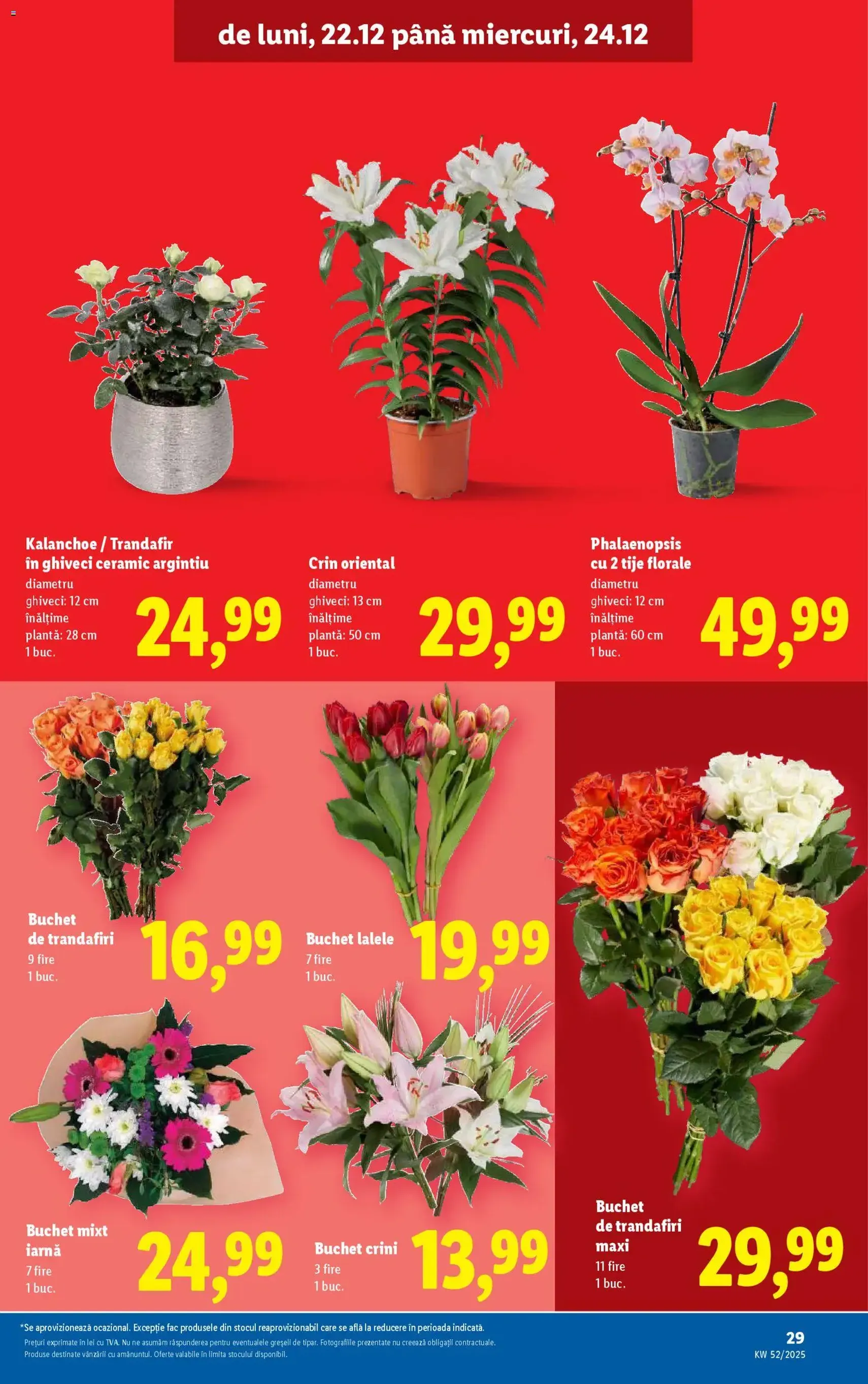 Catalog Lidl - cataloage valabile începând cu 22.12.2025 pagina 29 din 42