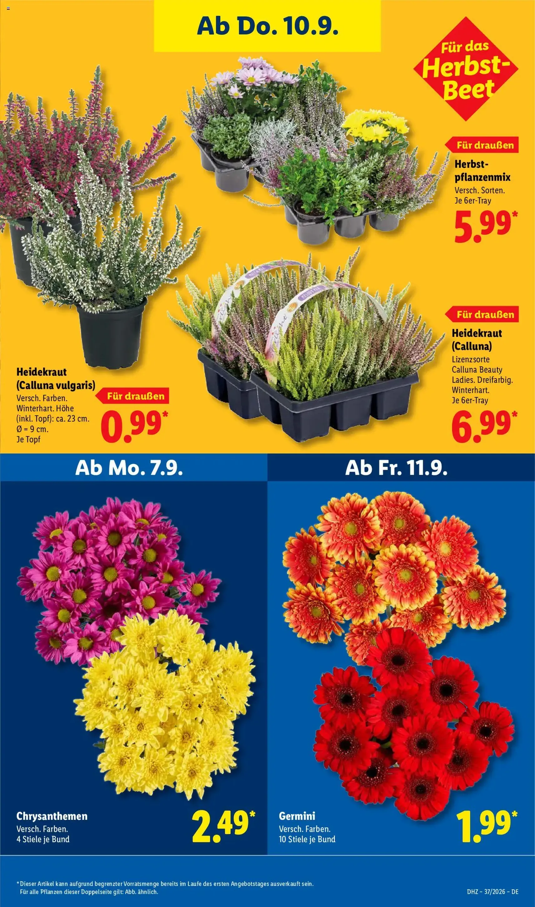 Lidl Prospekt - Gültiger Prospekt ab 07.09.2026, Seite 27 von insgesamt 73