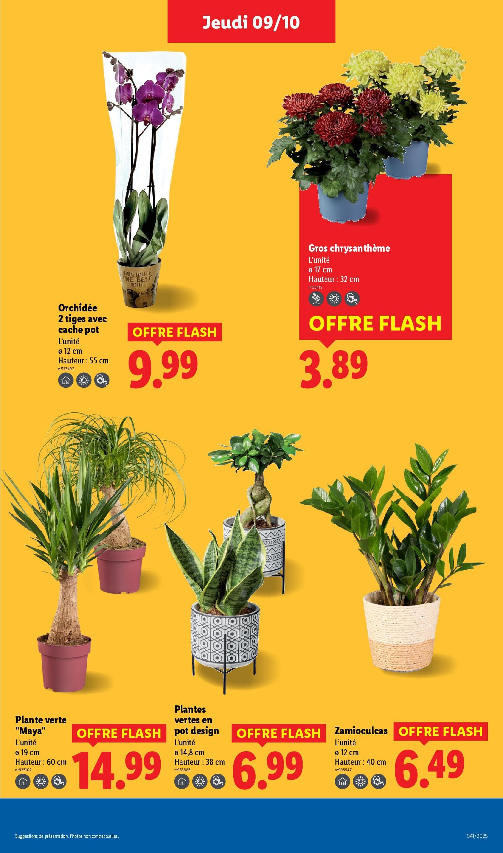 LIDL catalogue semaine 41 - brochure valable à partir du 09/10/2025, page 29 sur 73