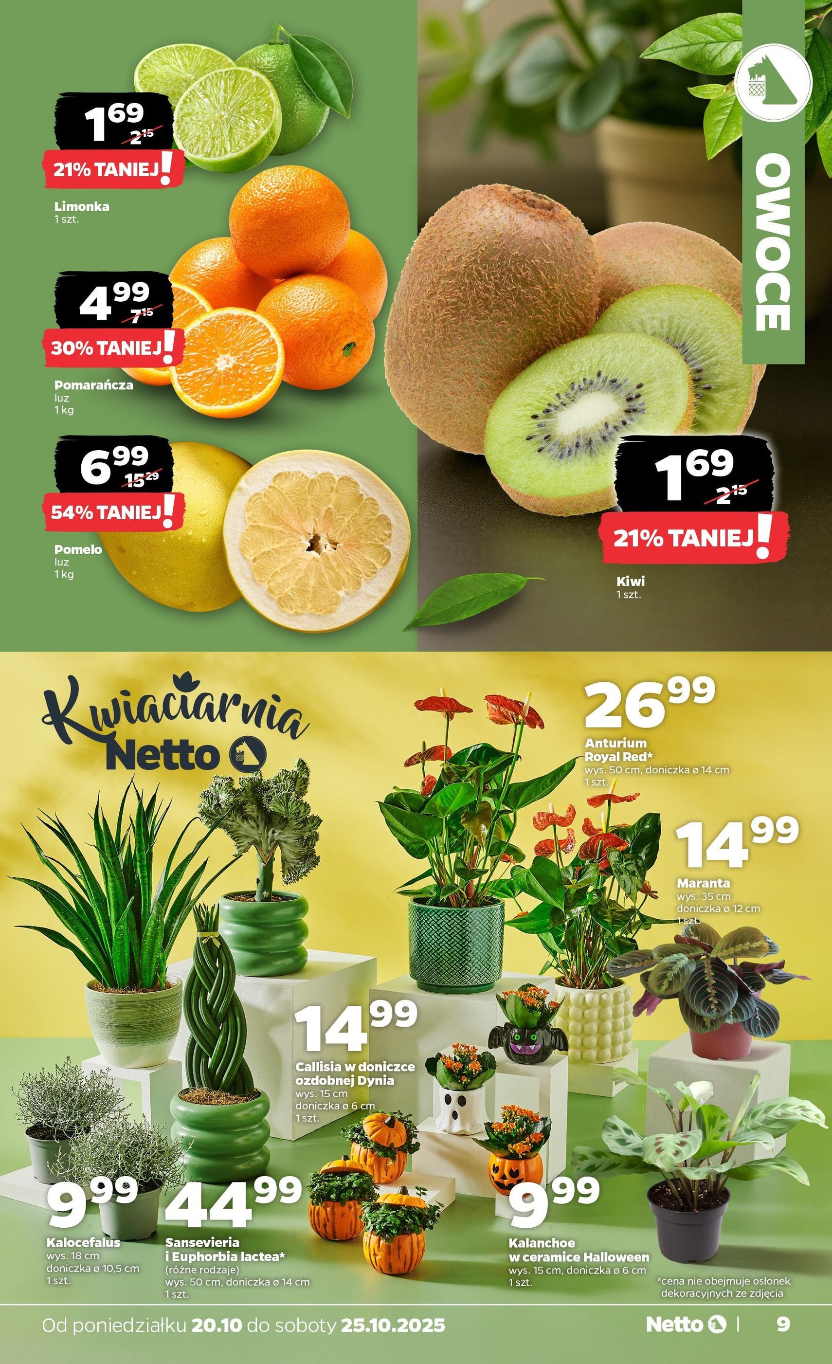 Netto gazetka - Spożywcza - ważny gazetka od 20.10.2025 strona 9 z 34 Netto gazetka - Spożywcza - ważny gazetka od 20.10.2025 strona 9 z 34