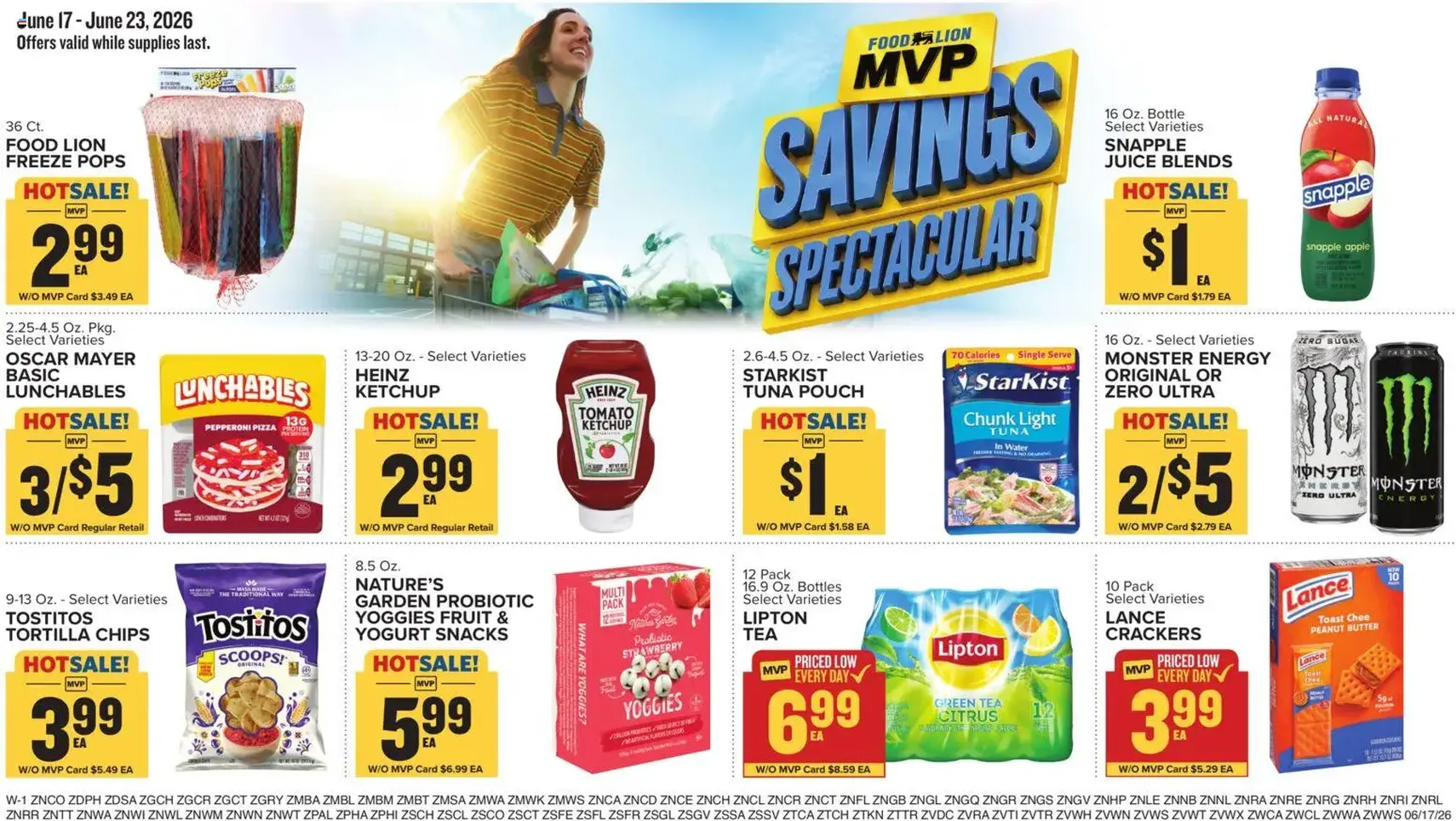 Food Lion Weekly Ad - valid flyer from 06/17/2026, page 13 of 16