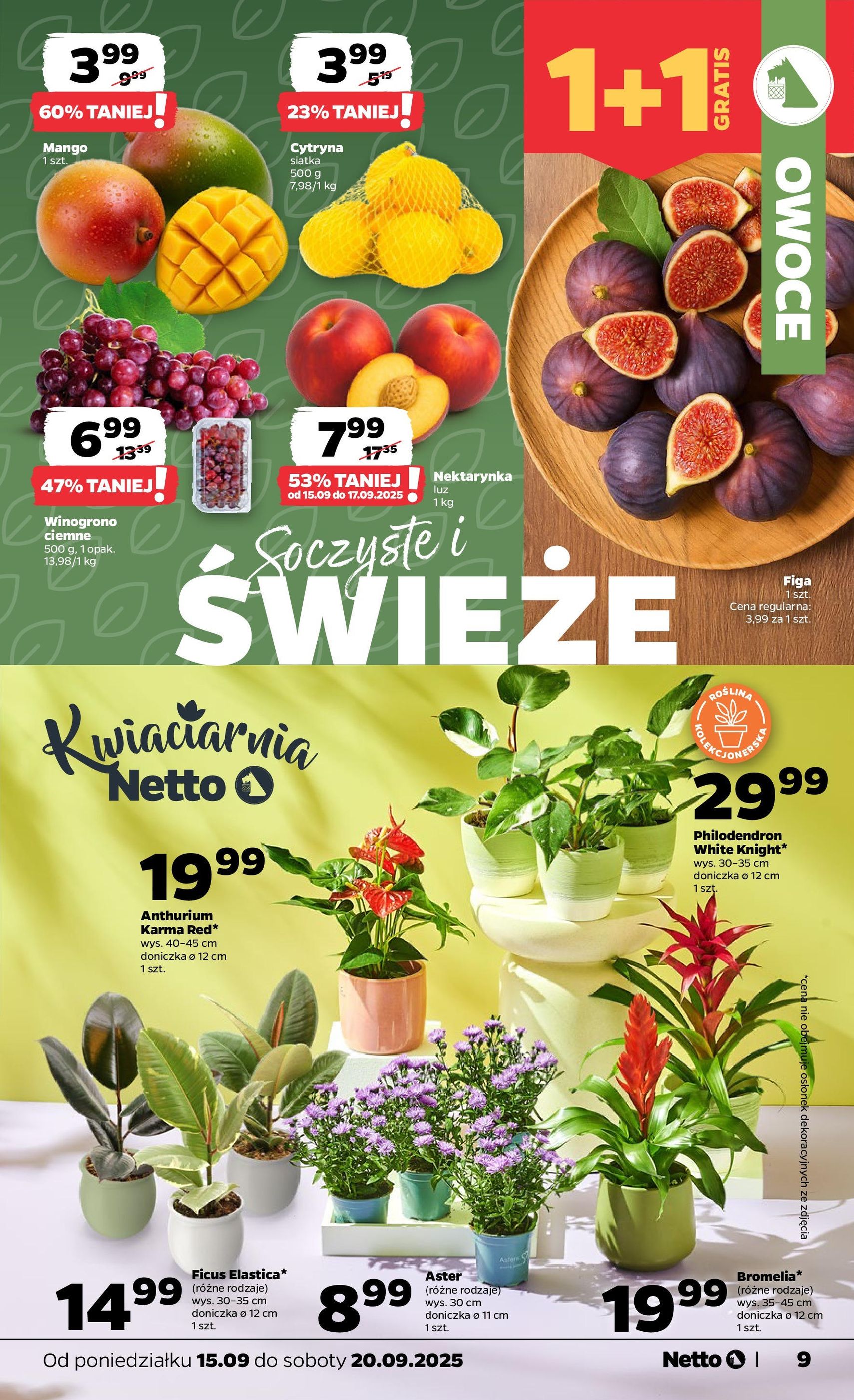 Netto gazetka - Spożywcza - ważny gazetka od 15.09.2025 strona 9 z 34 Netto gazetka - Spożywcza - ważny gazetka od 15.09.2025 strona 9 z 34