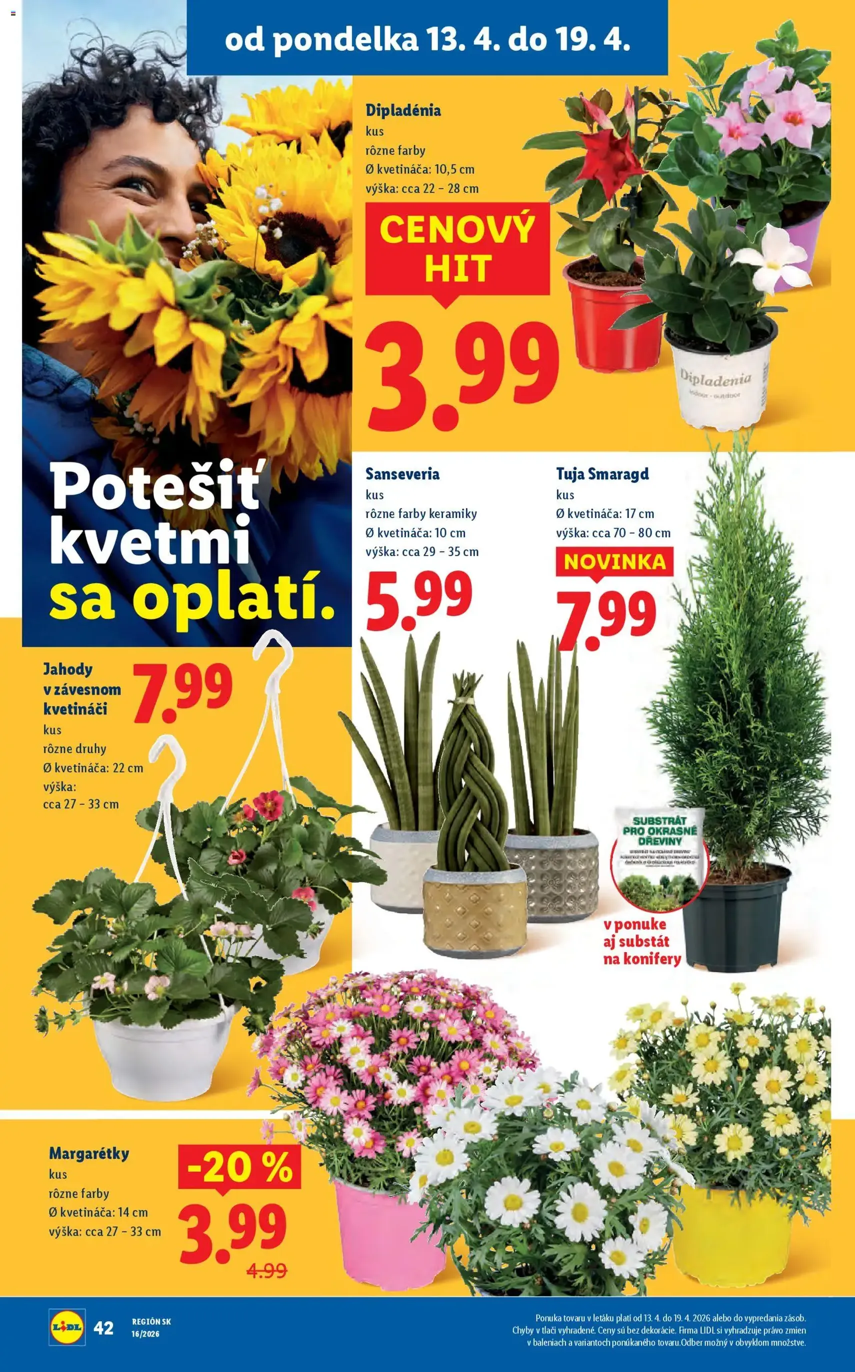 Lidl leták - platný leták od 13.04.2026 strana 50 z 89
