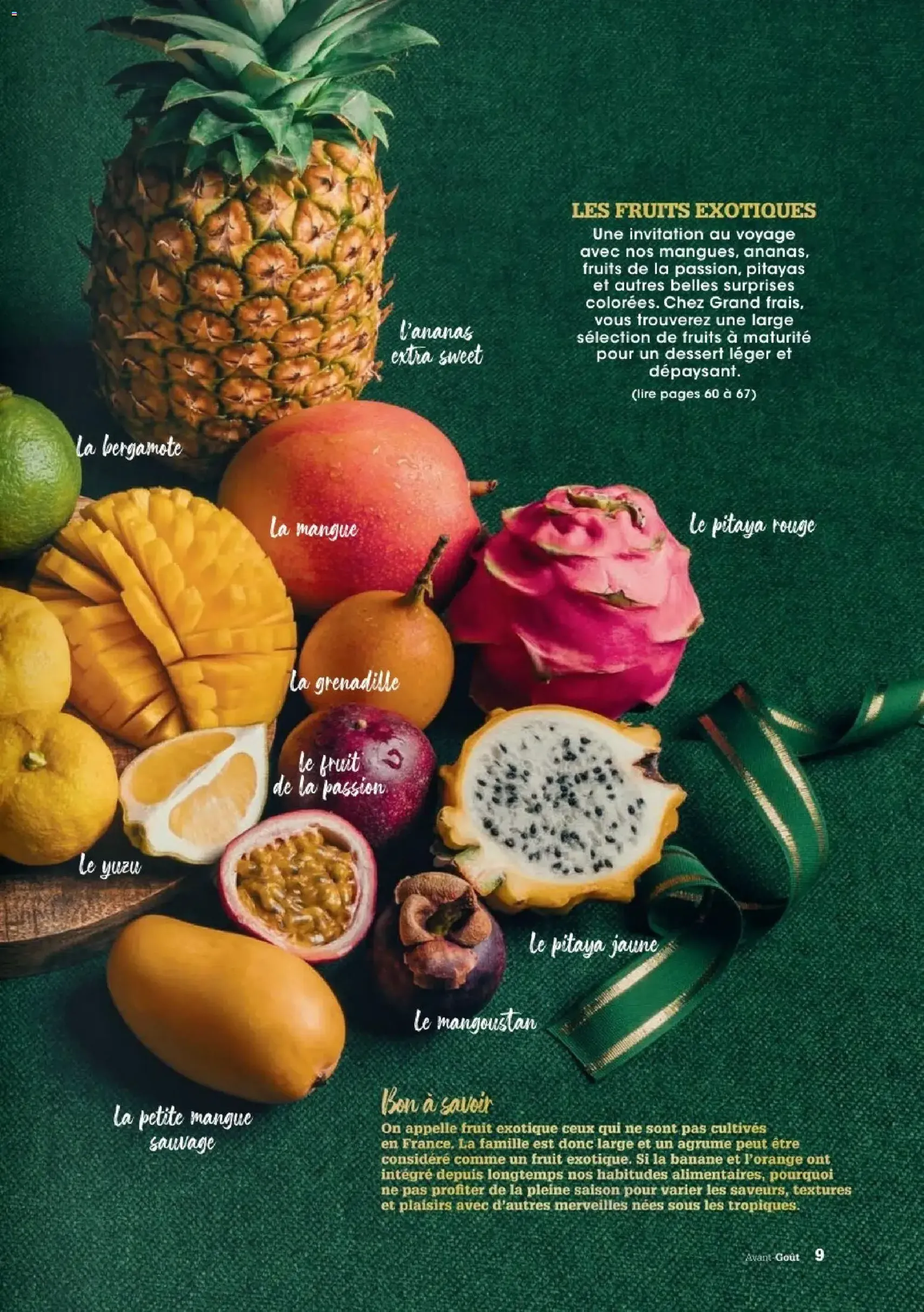 Grand Frais catalogue - brochure valable à partir du 01/12/2025, page 9 sur 76