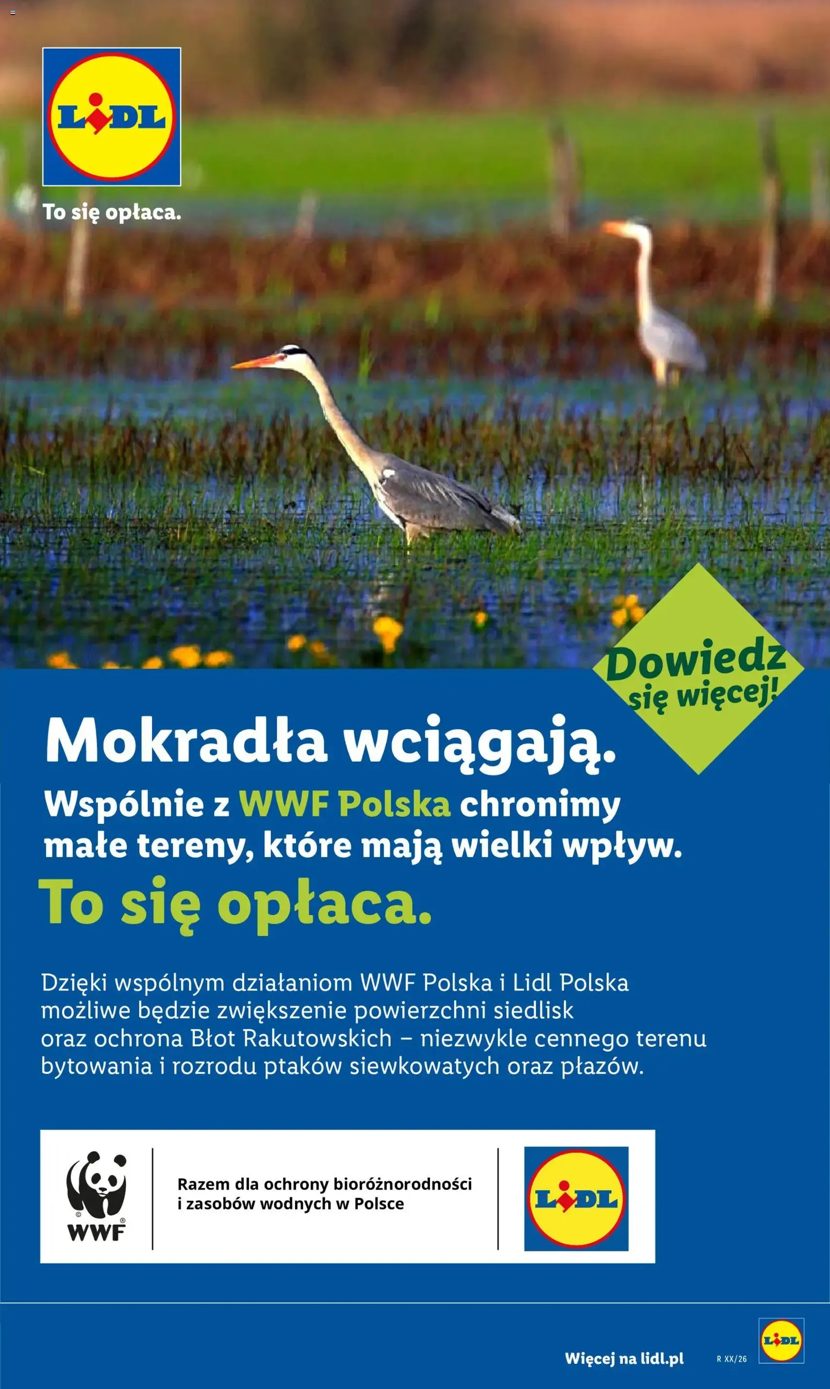 Lidl gazetka - ważny gazetka od 29.06.2026 strona 84 z 85