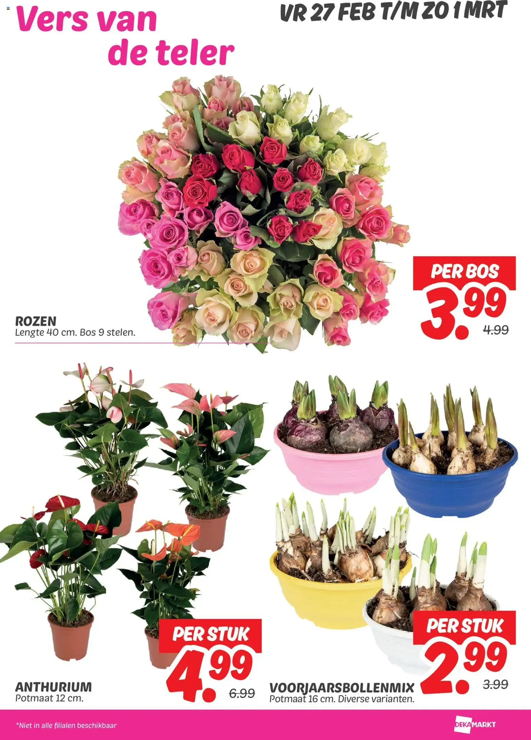 Dekamarkt - Folder - geldige folder vanaf 23-02-2026 pagina 26 van 29