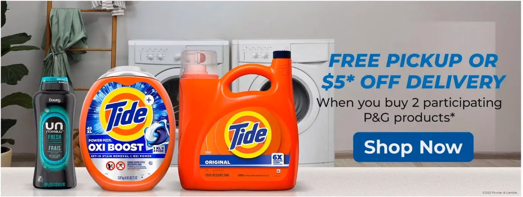 Food Lion Weekly Ad - valid flyer from 01/01/2026, page 12 of 19