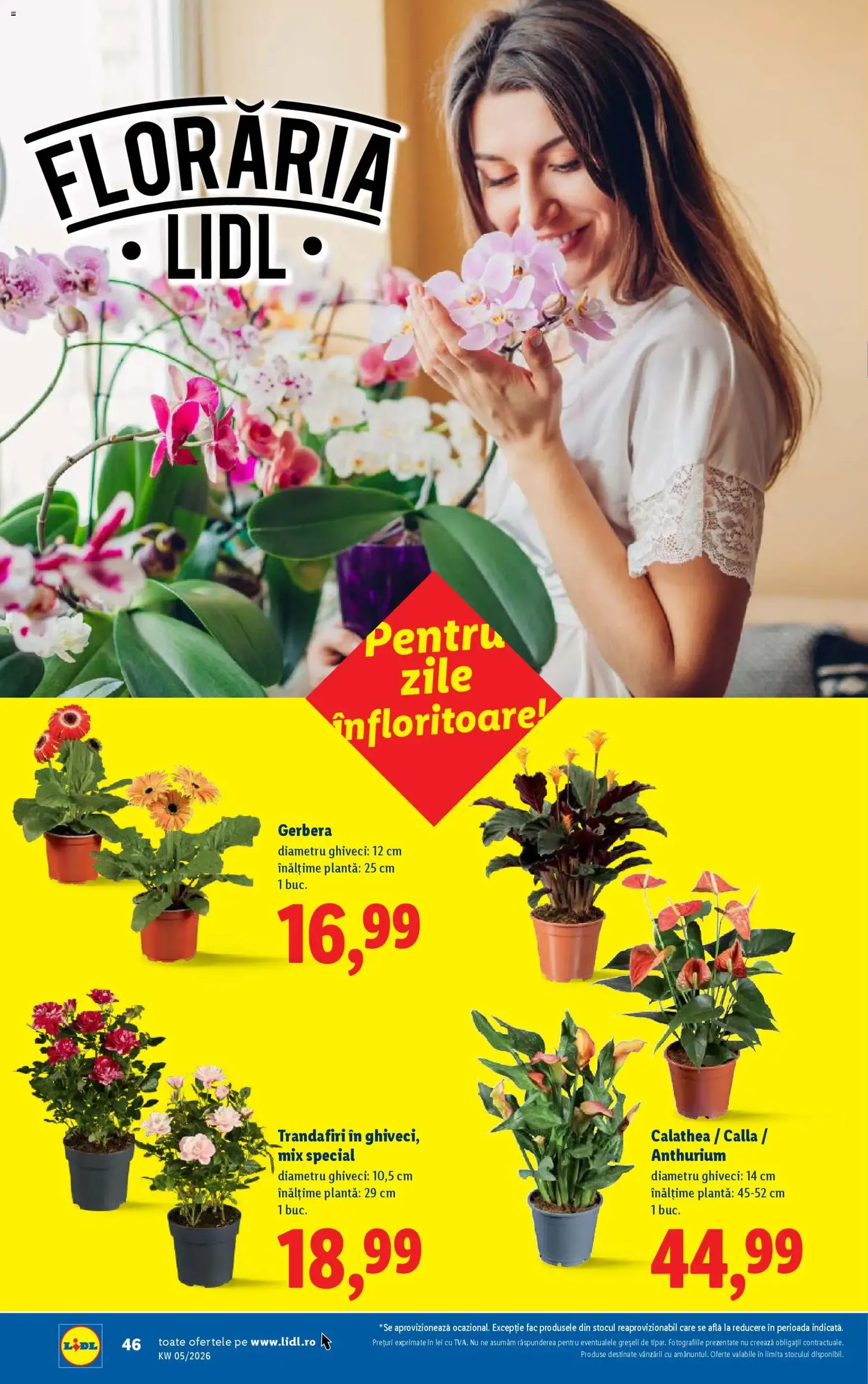 Catalog Lidl - cataloage valabile începând cu 26.01.2026 pagina 46 din 74