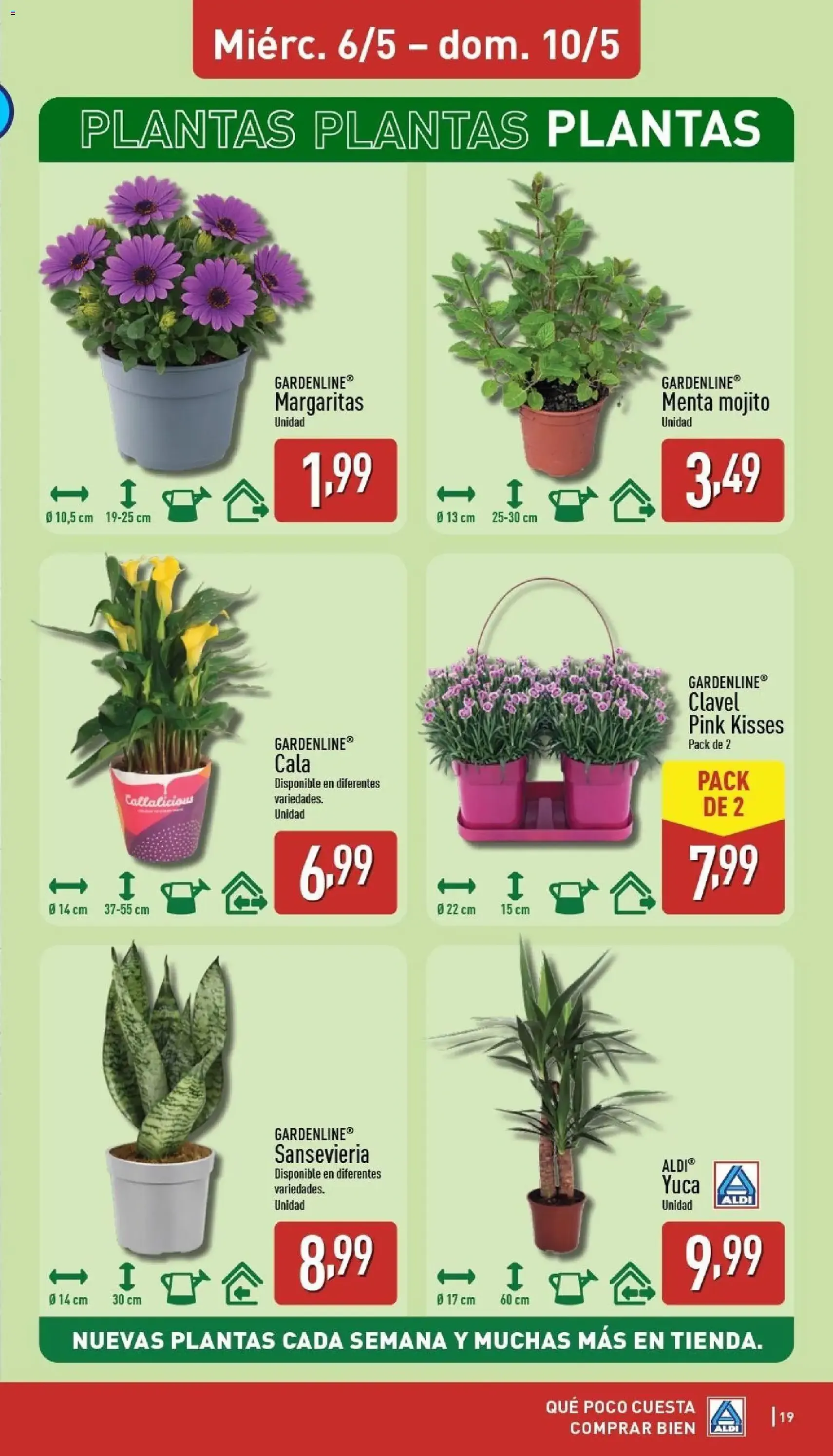 Aldi folleto Península - folleto válido desde 04/05/2026 página 19 de 28