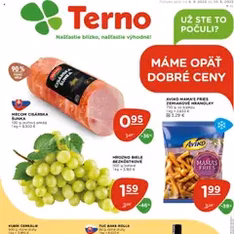 Terno leták - náhľad letáku platný od 04.09.2025