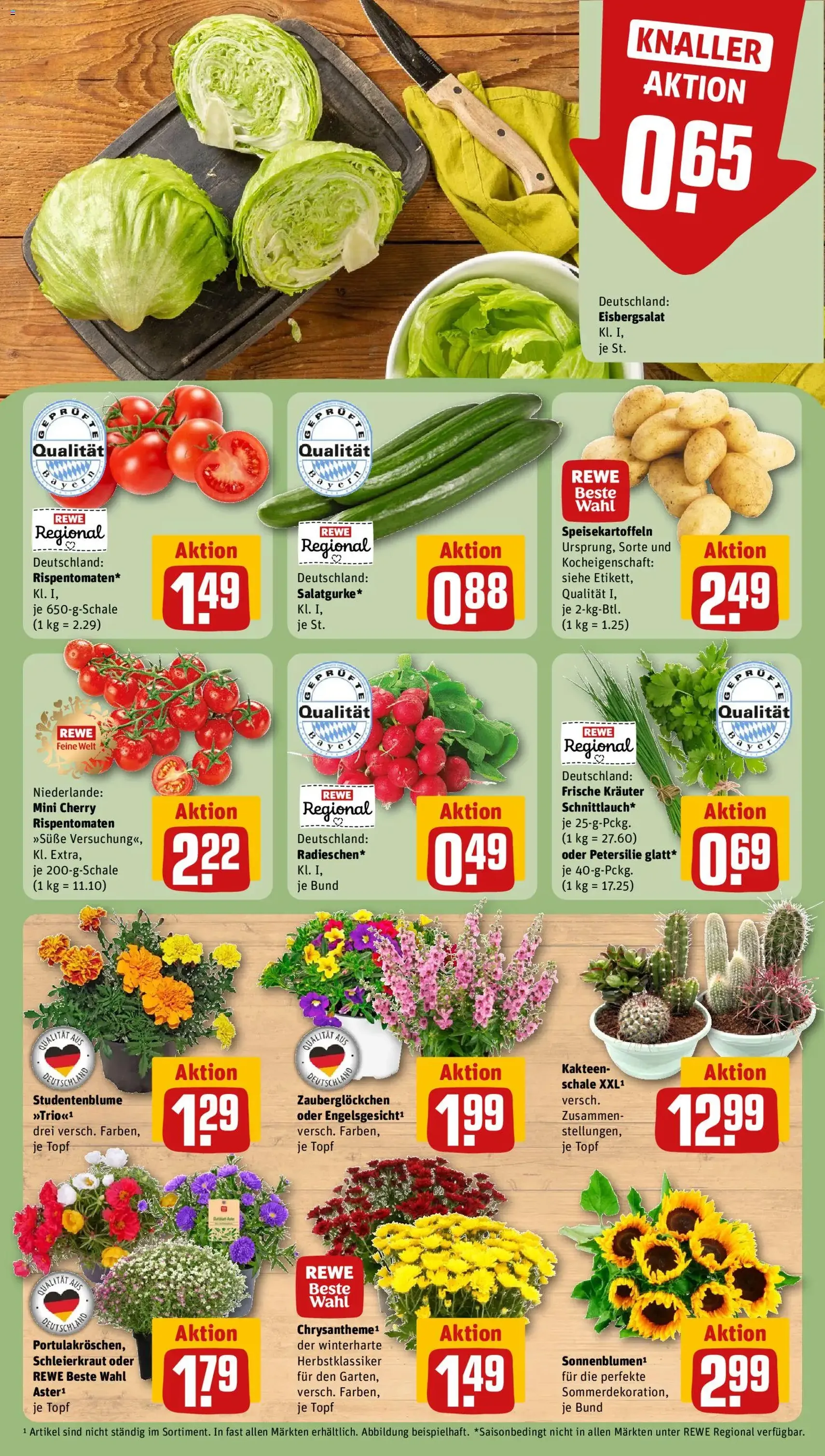 Rewe DE - DE Folder - geldige folder vanaf 06-07-2026 pagina 9 van 24