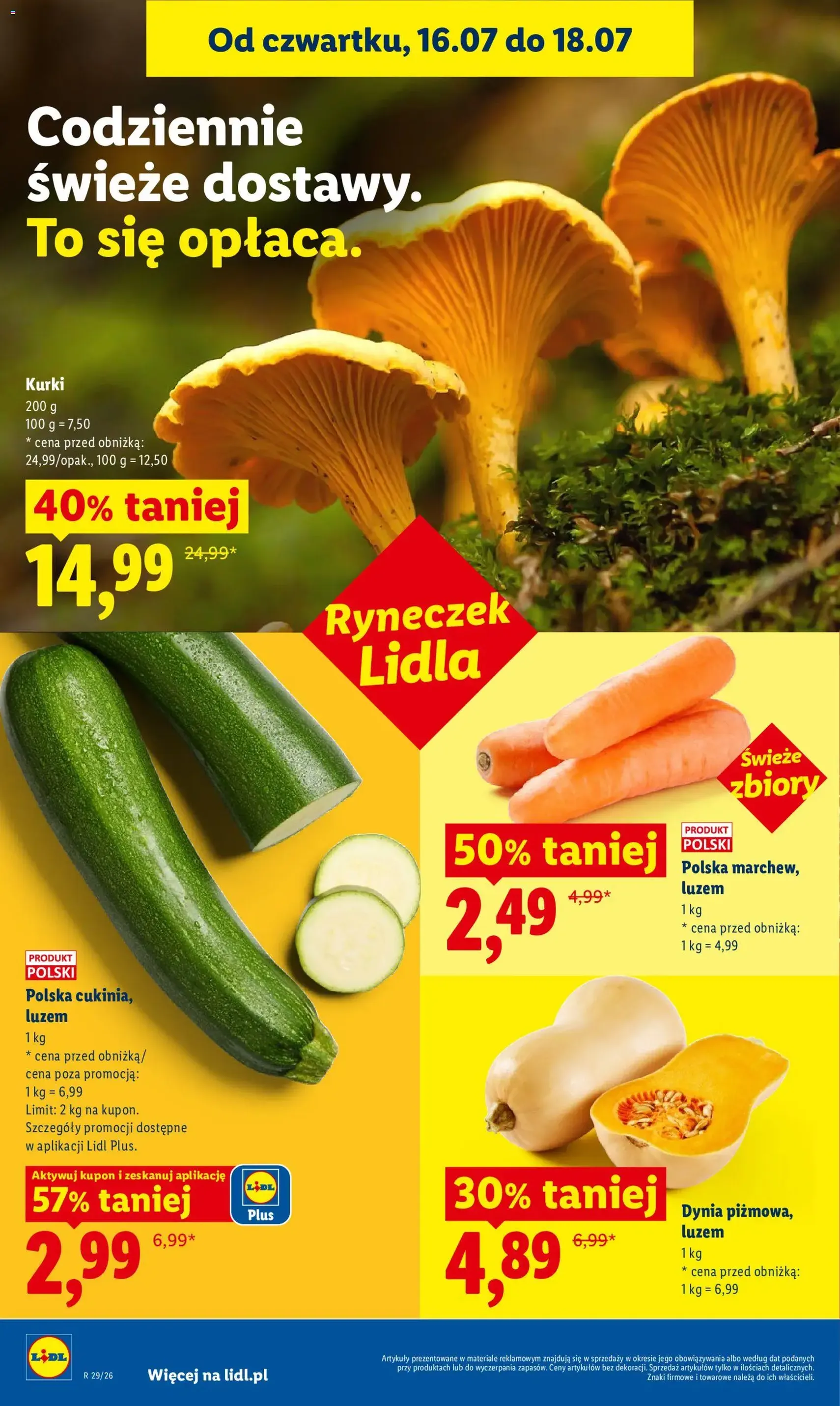 Lidl gazetka - ważny gazetka od 16.07.2026 strona 46 z 97