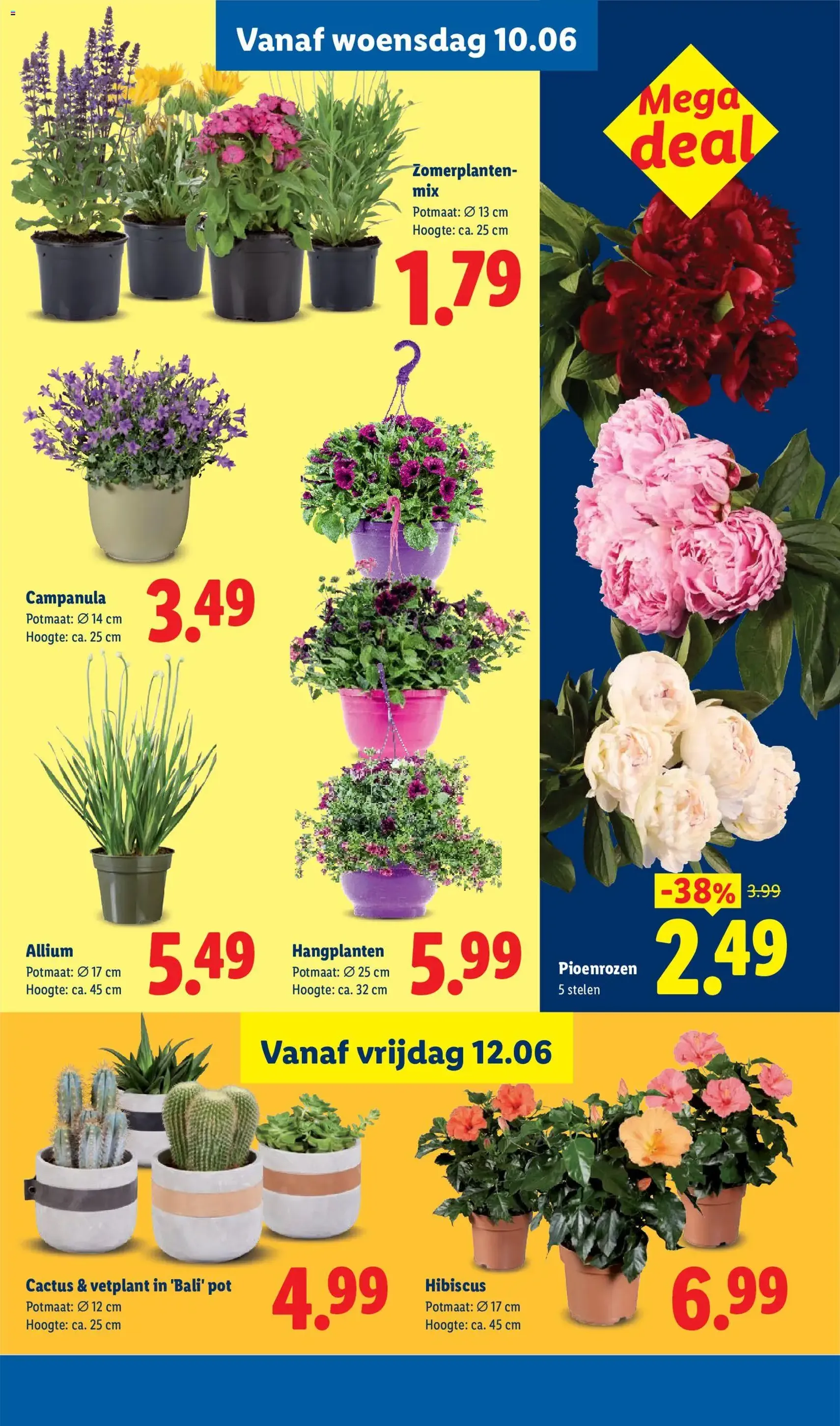 Lidl folder week 24 - geldige folder vanaf 08-06-2026 pagina 25 van 52