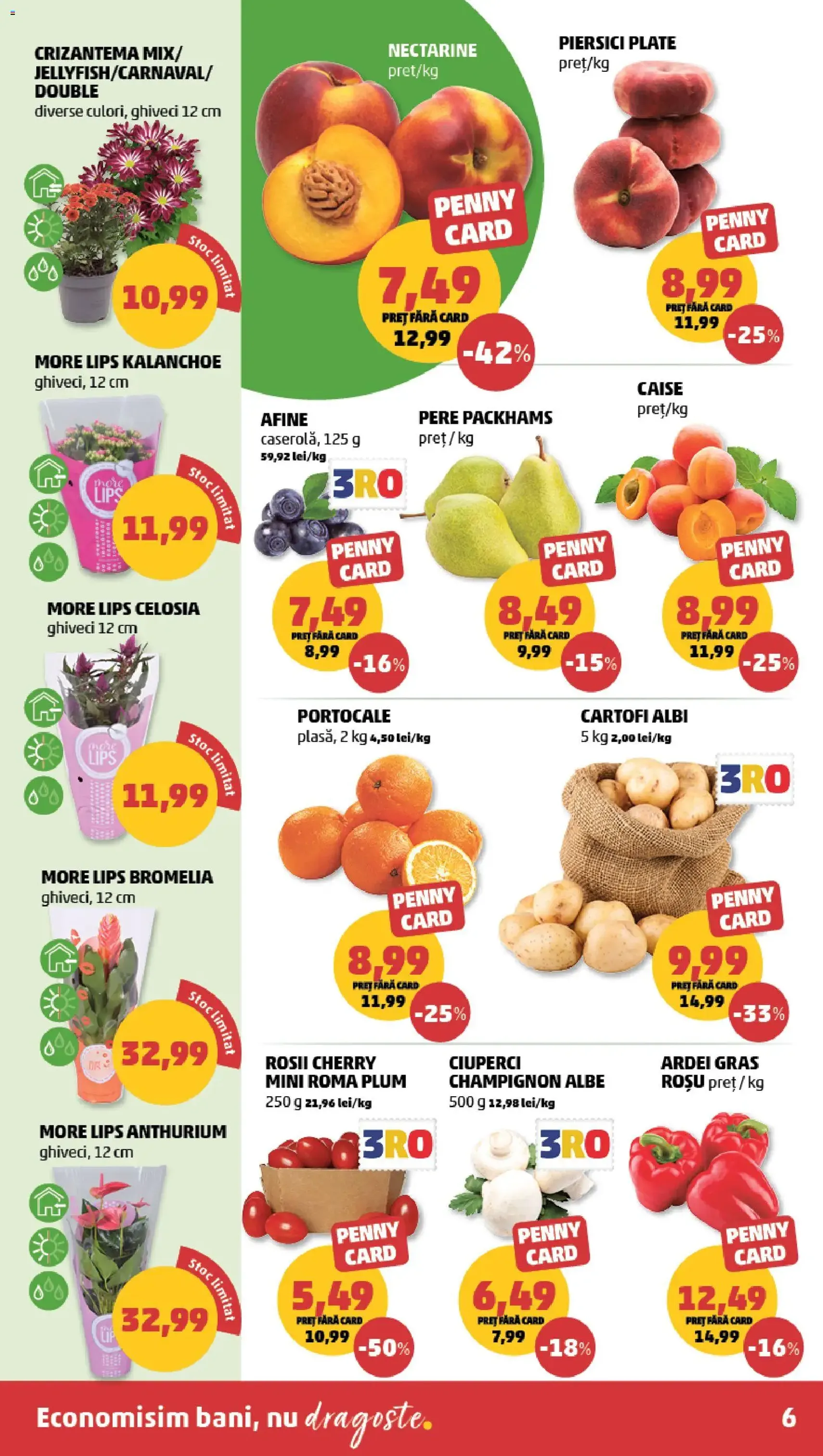 PENNY Catalog - cataloage valabile începând cu 24.06.2026 pagina 6 din 20