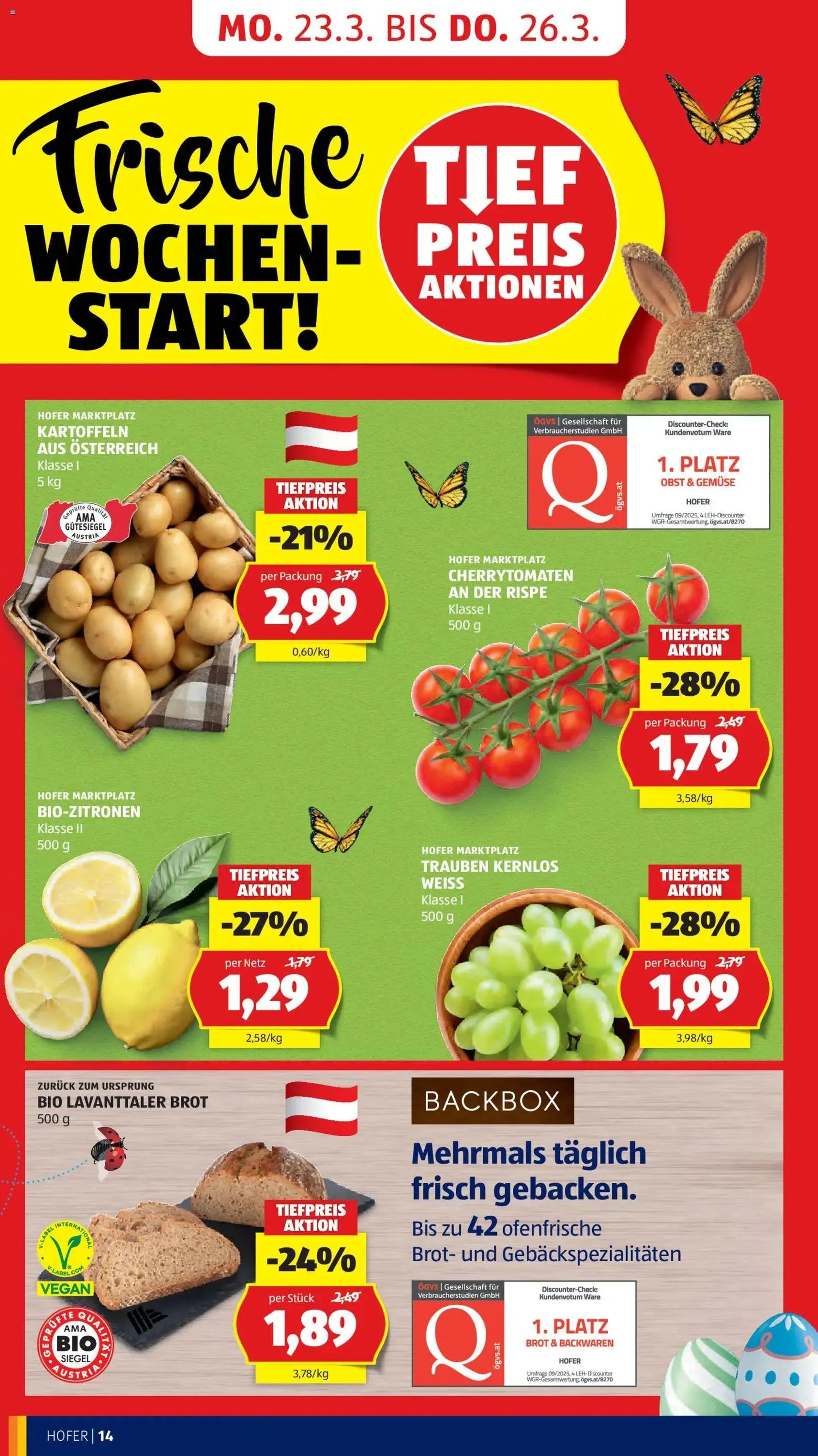 Hofer Flugblatt - Gültiger Prospekt ab 23.03.2026, Seite 20 von insgesamt 49