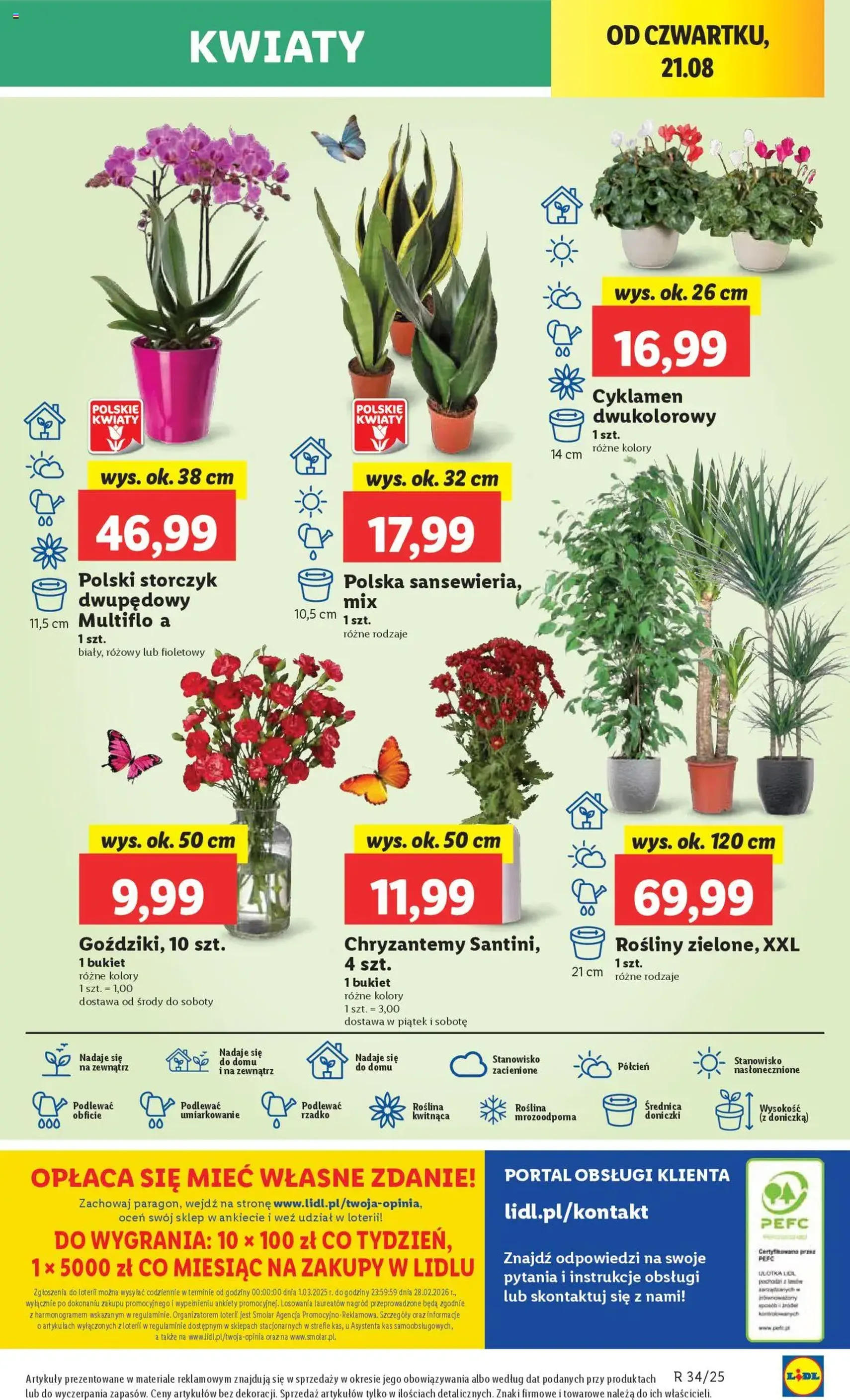 Lidl Gazetka - ważny gazetka od 21.08.2025 strona 49 z 58