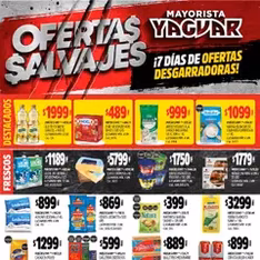 Vista previa del folleto Yaguar catálogo válido desde 11/08/2025
