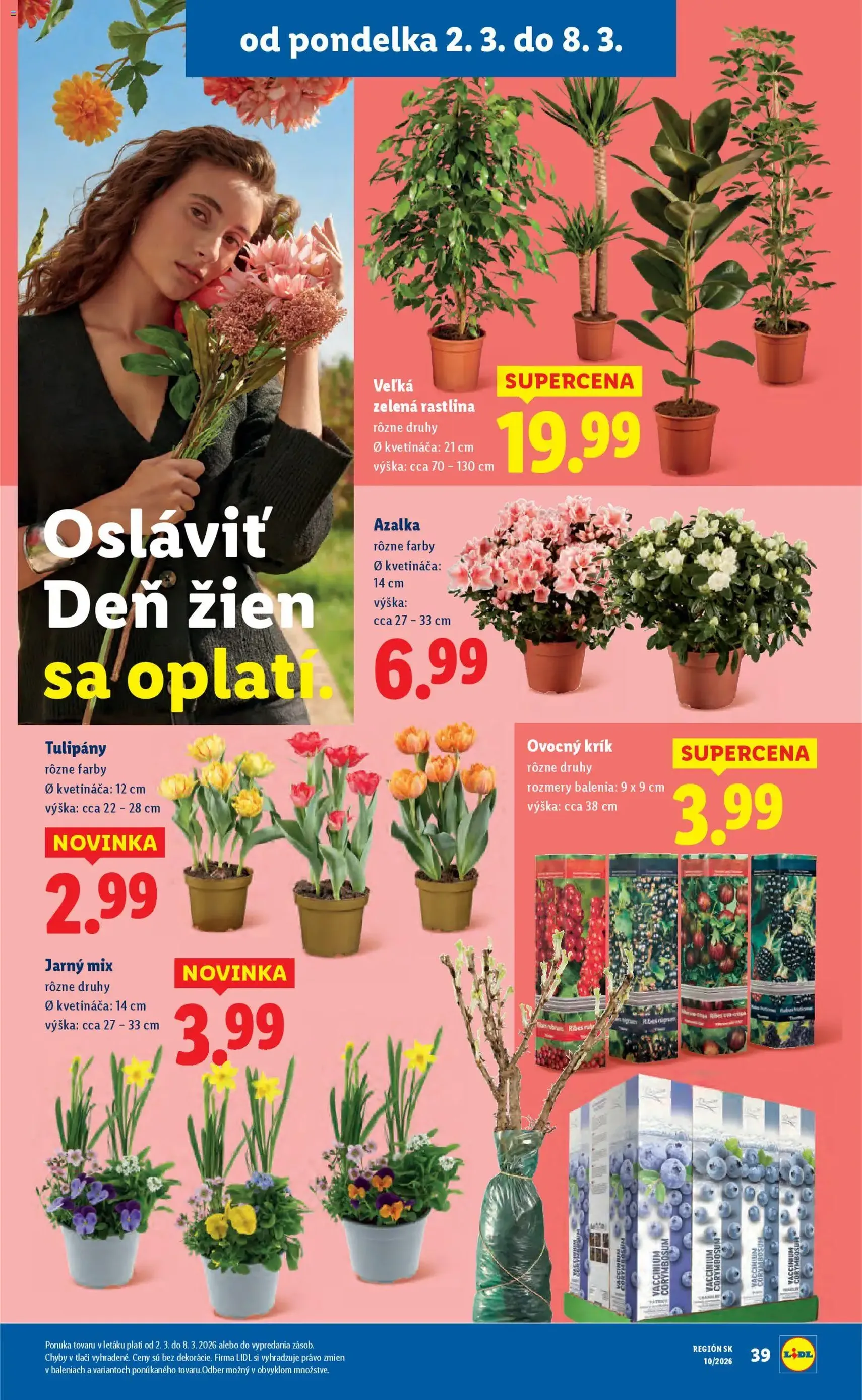 Lidl leták - platný leták od 02.03.2026 strana 49 z 107