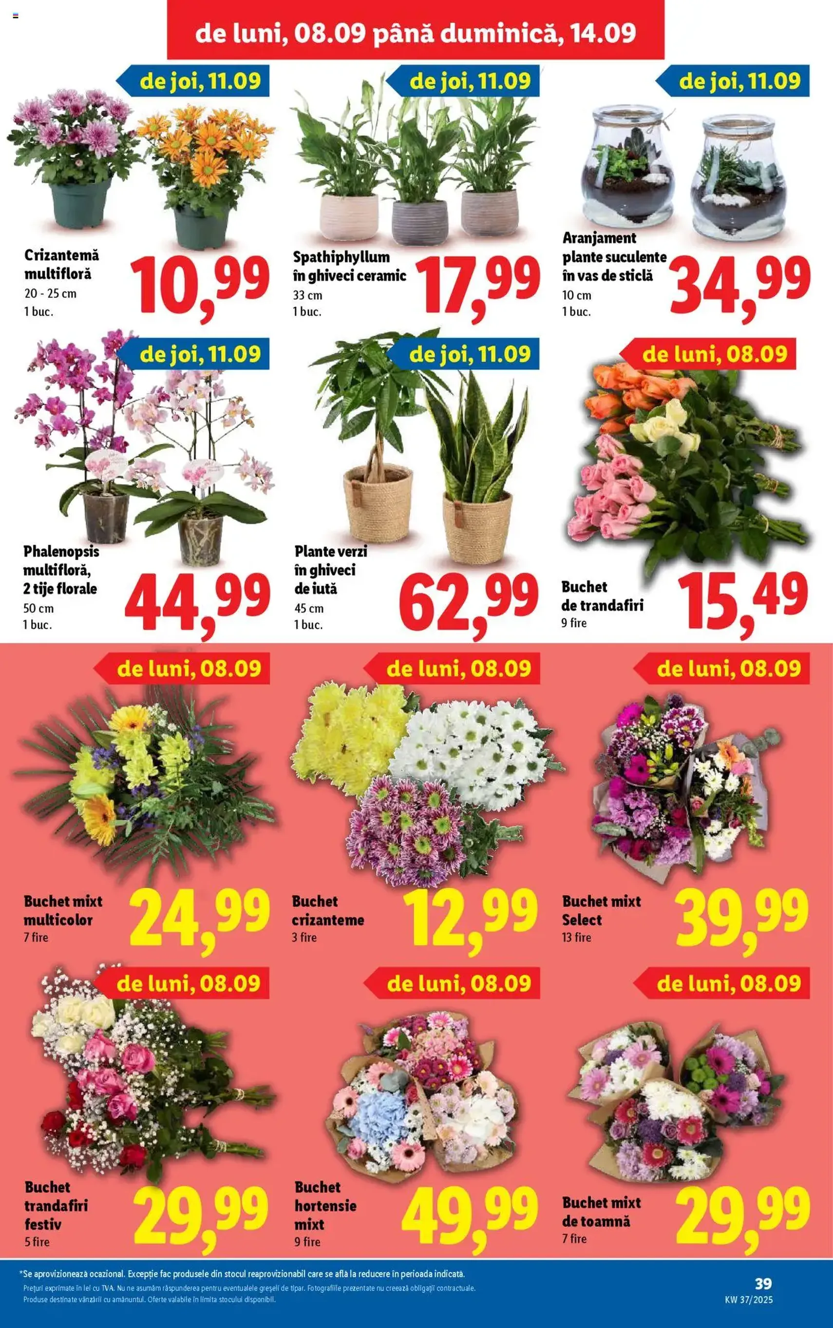 Catalog Lidl - cataloage valabile începând cu 08.09.2025 pagina 39 din 68 Catalog Lidl - cataloage valabile începând cu 08.09.2025 pagina 39 din 68