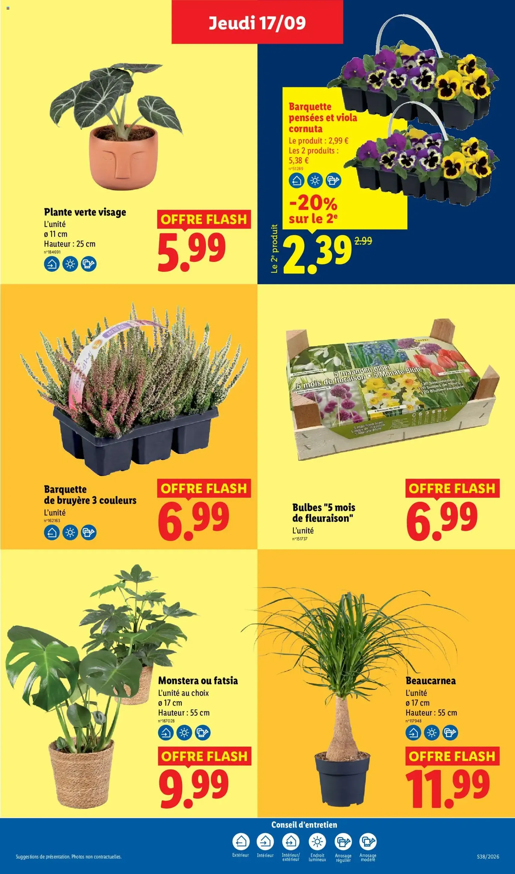 LIDL catalogue - brochure valable à partir du 17/09/2026, page 29 sur 67