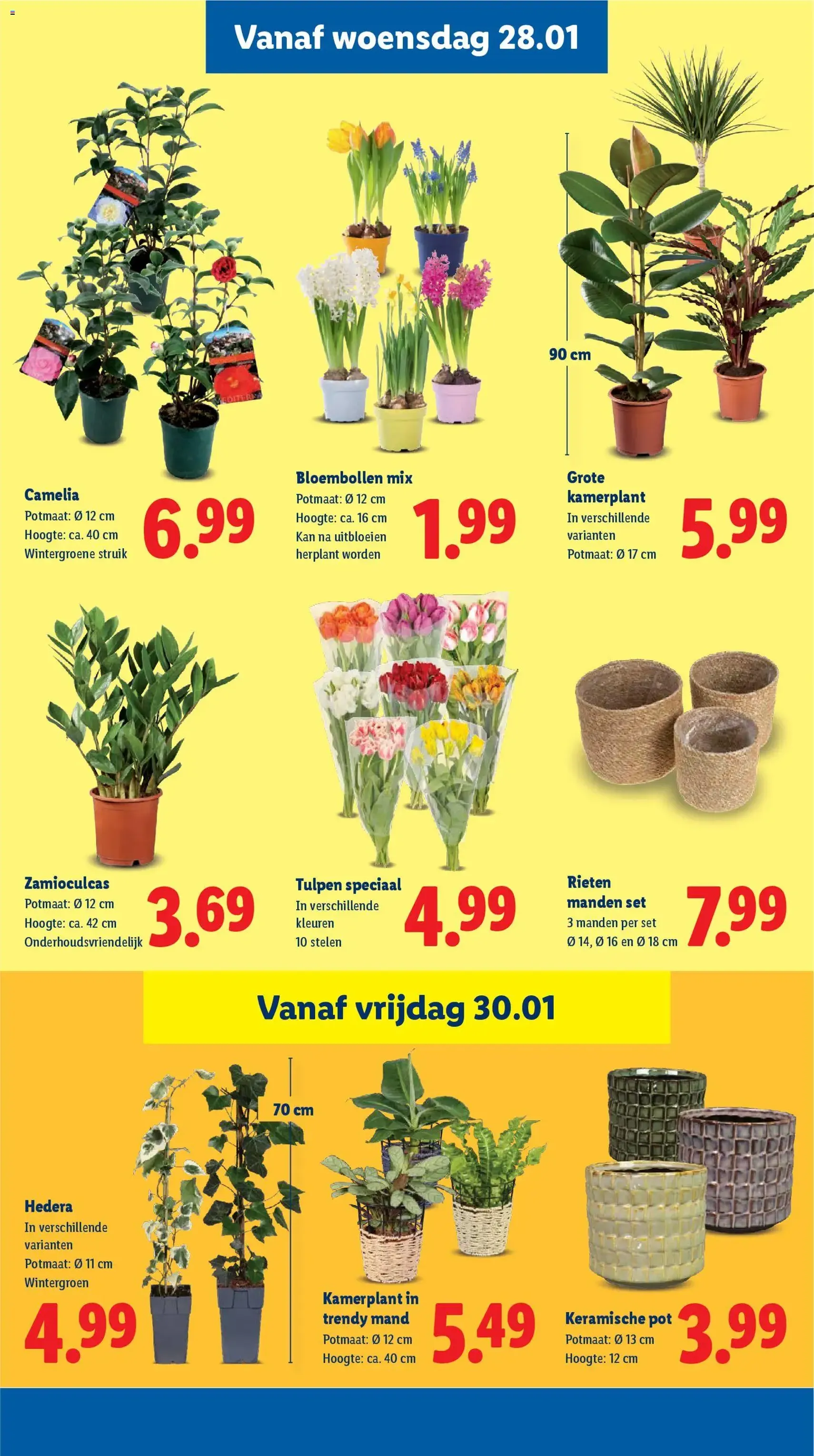 Lidl - Folder week 5 - geldige folder vanaf 26-01-2026 pagina 20 van 43