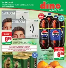 Dino Gazetka - podgląd gazetki ważnej od 20.08.2025