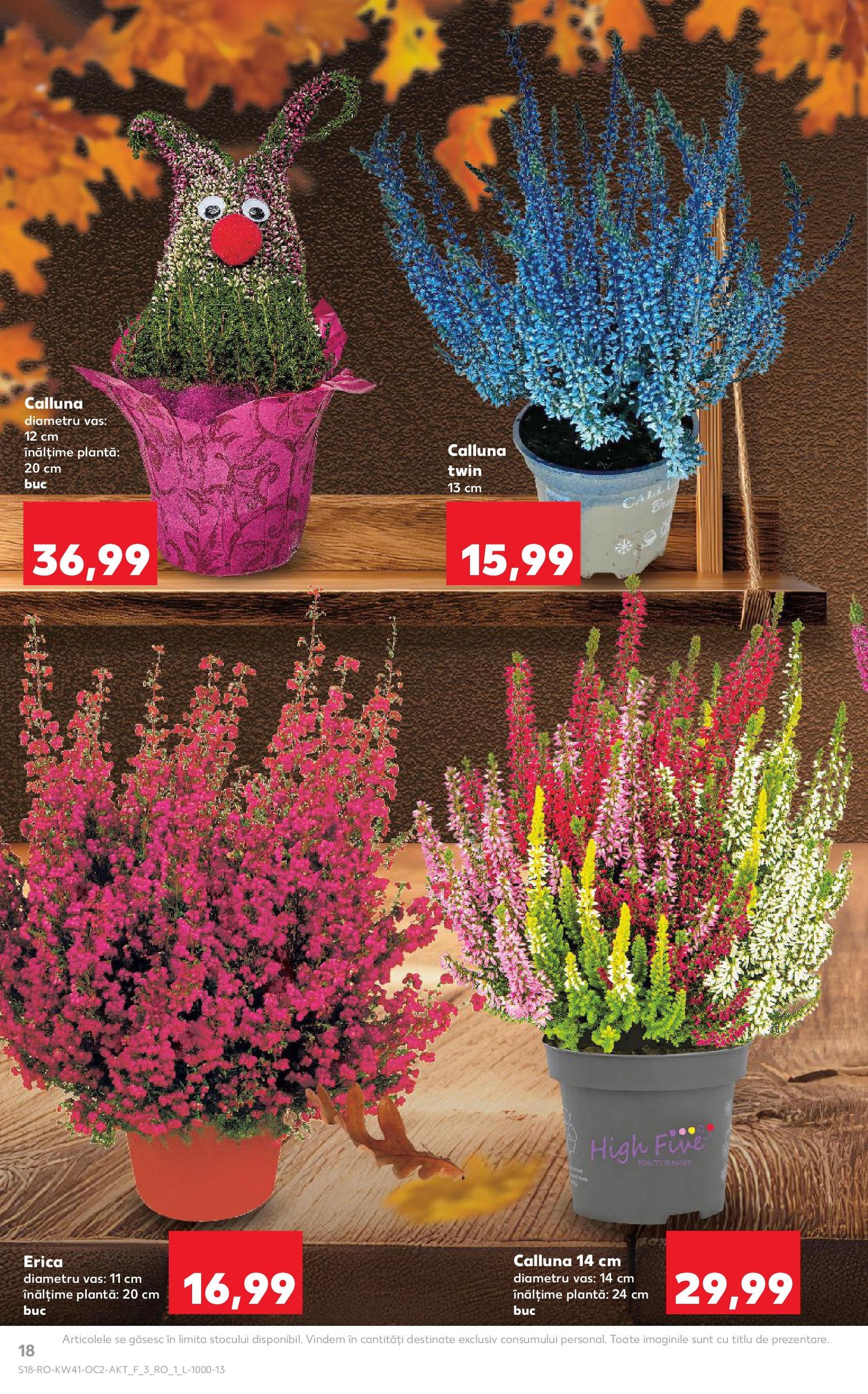 Catalog Kaufland - Bucureşti - cataloage valabile începând cu 08.10.2025 pagina 18 din 68