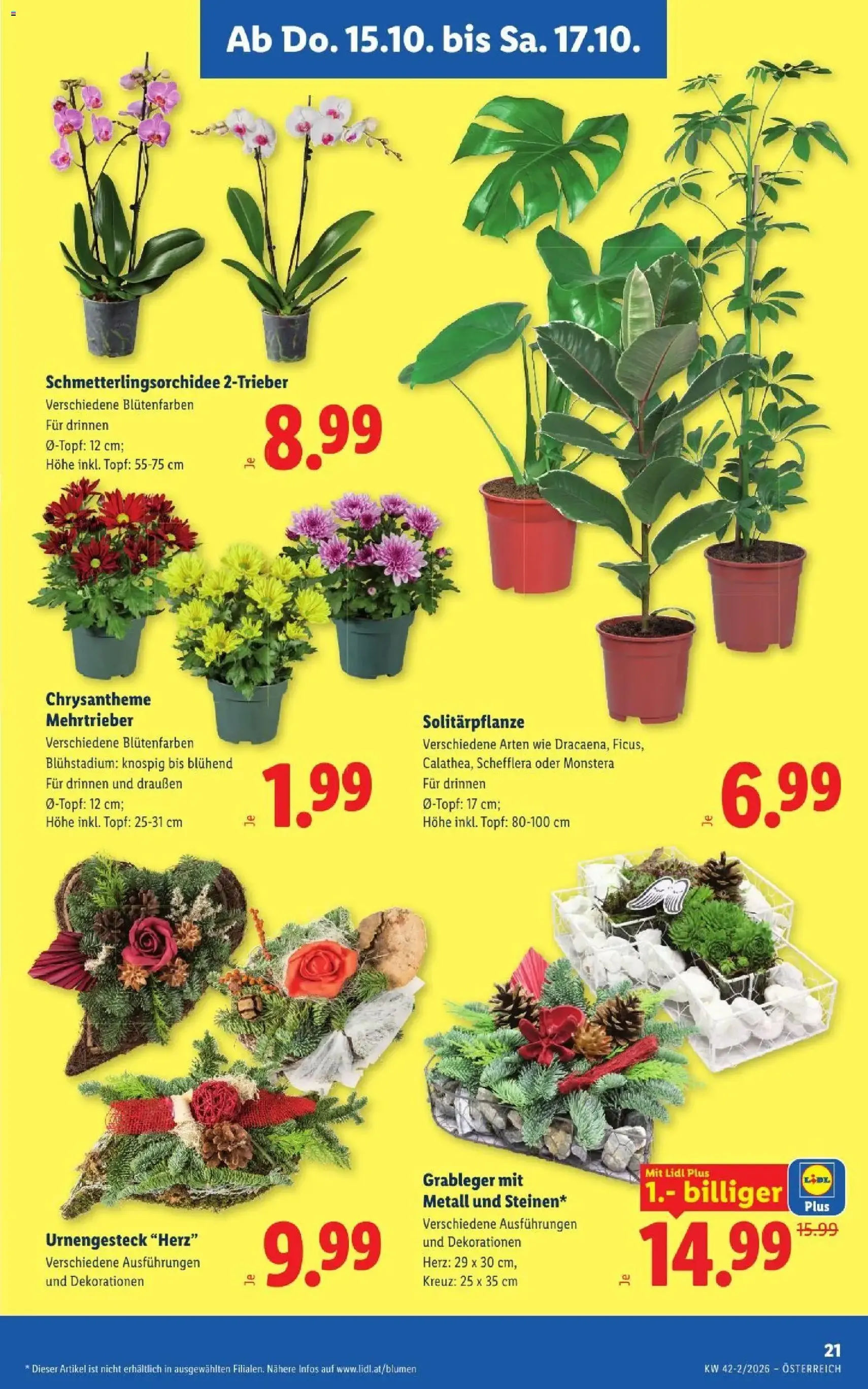Lidl Flugblatt - Gültiger Prospekt ab 15.10.2026, Seite 25 von insgesamt 56