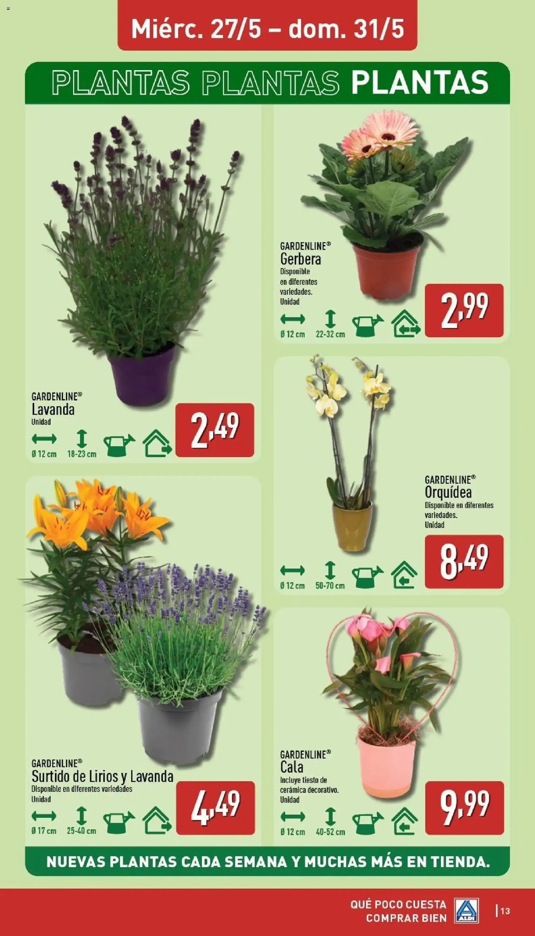Aldi folleto Península - folleto válido desde 25/05/2026 página 13 de 30