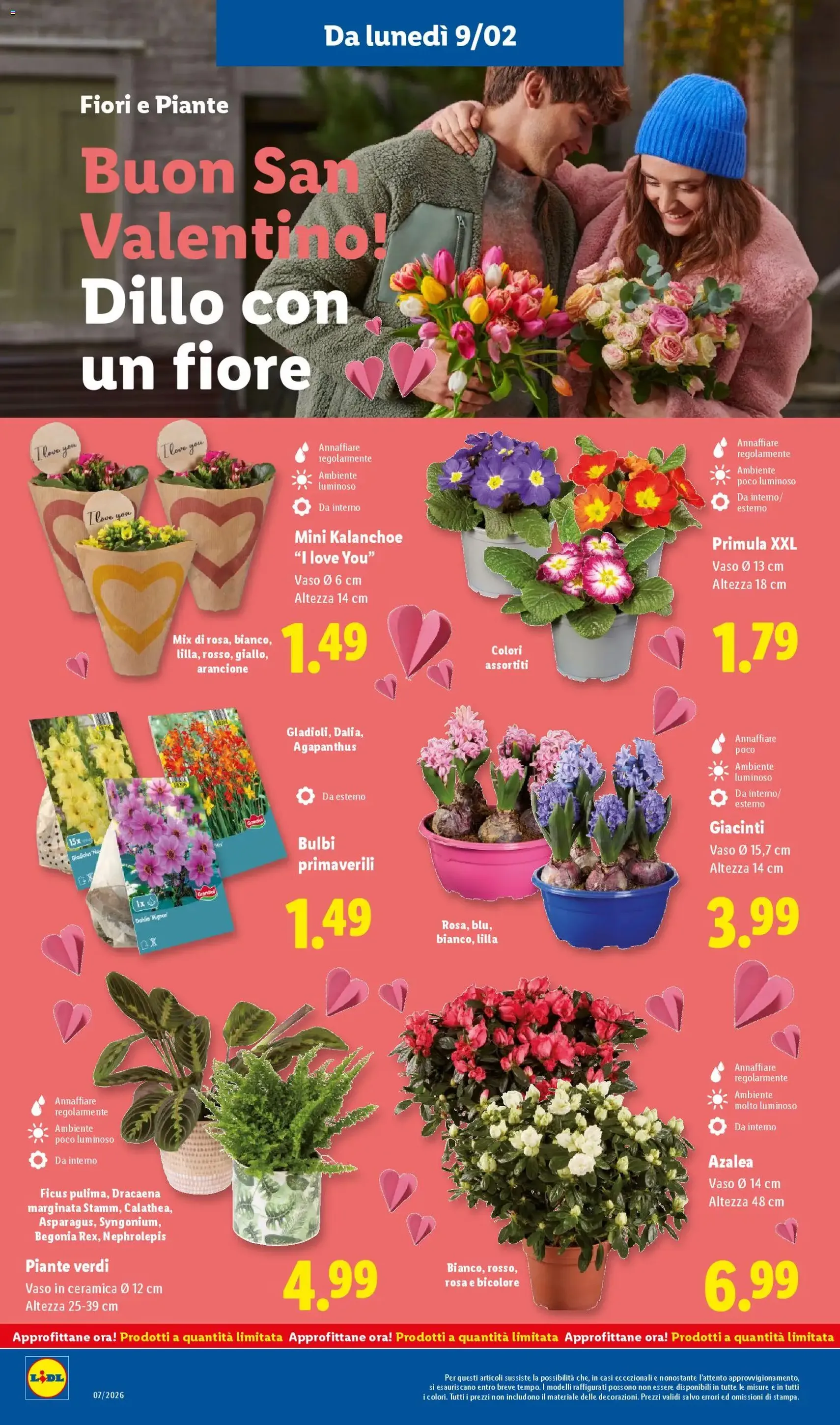 Volantino Lidl - volantino valido dal 09/02/2026 pagina 36 di 50
